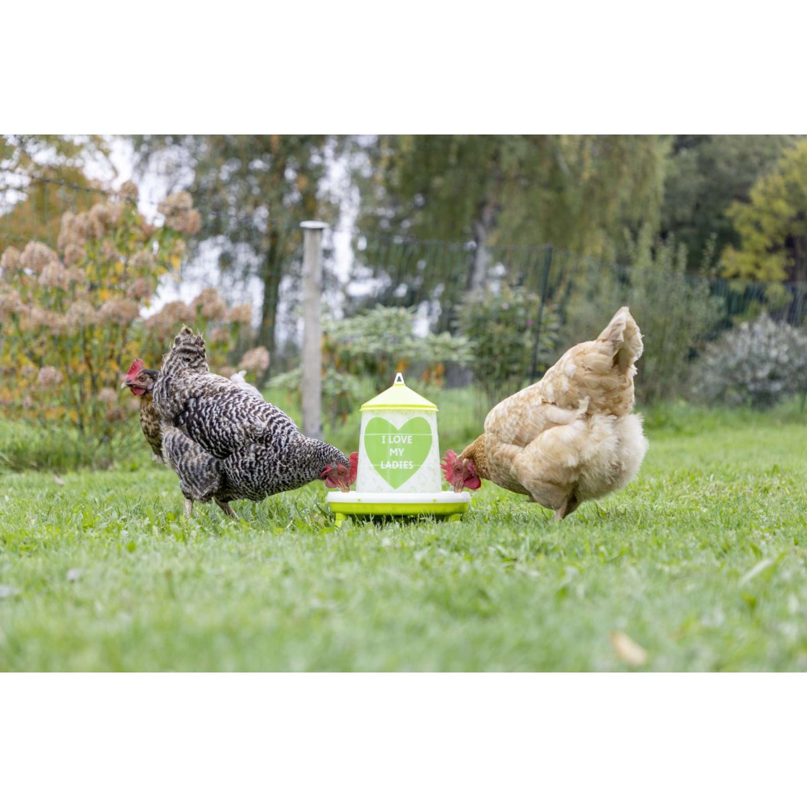 Kerbl Mangeoire-Silo Avicole Love My Ladies Kerbl Mangeoire-Silo Avicole Love My Ladies