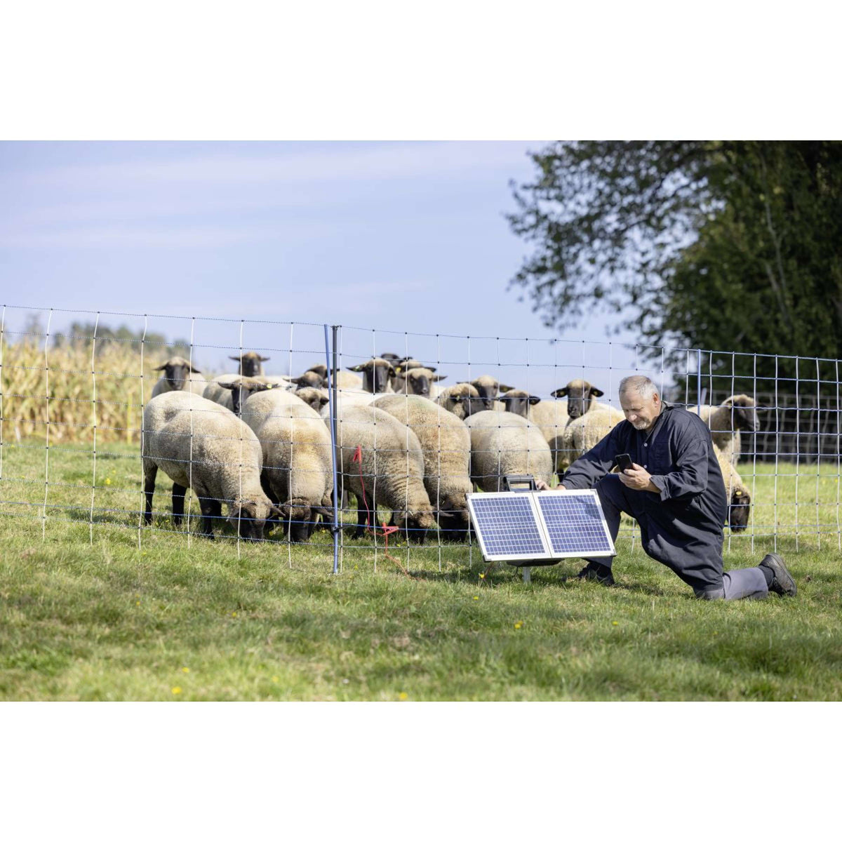 Ako Électrificateur SunPower S2400 Smart 12V