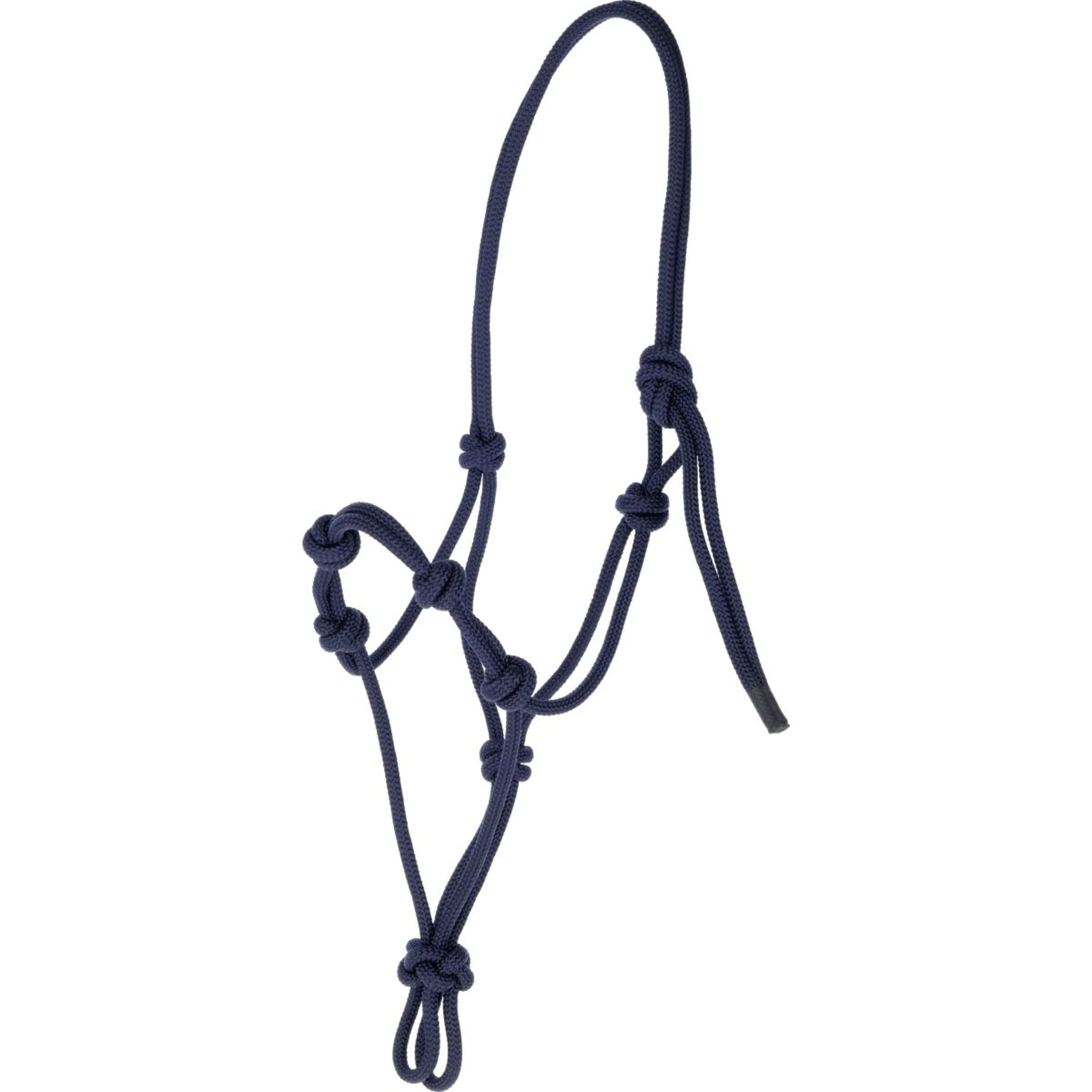 Covalliero Licol en Corde Bleu