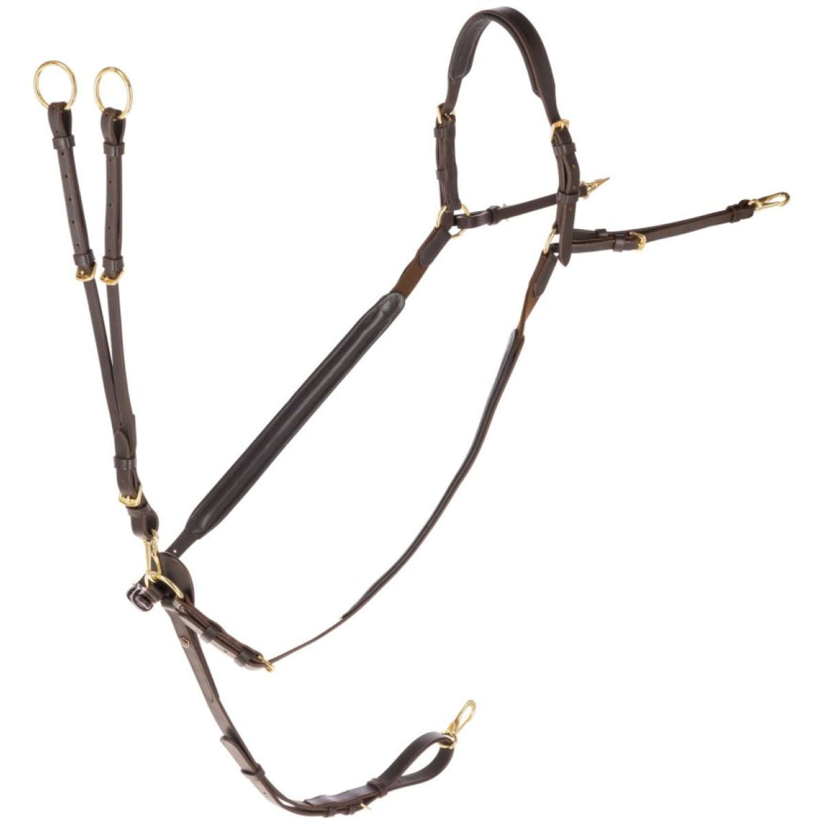 Covalliero Collier de Chasse avec Martingale Marron
