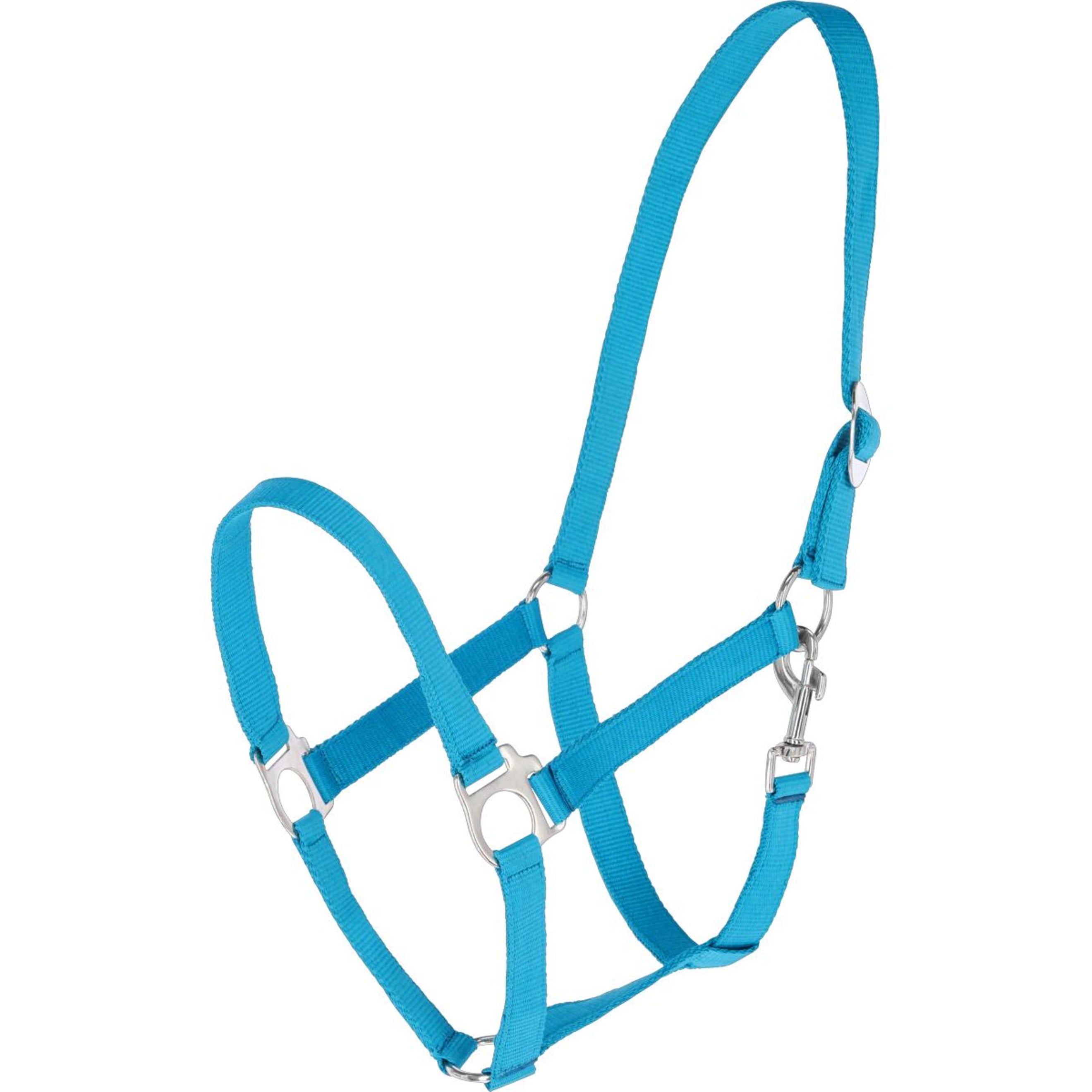 Covalliero Licol Hippo Bleu