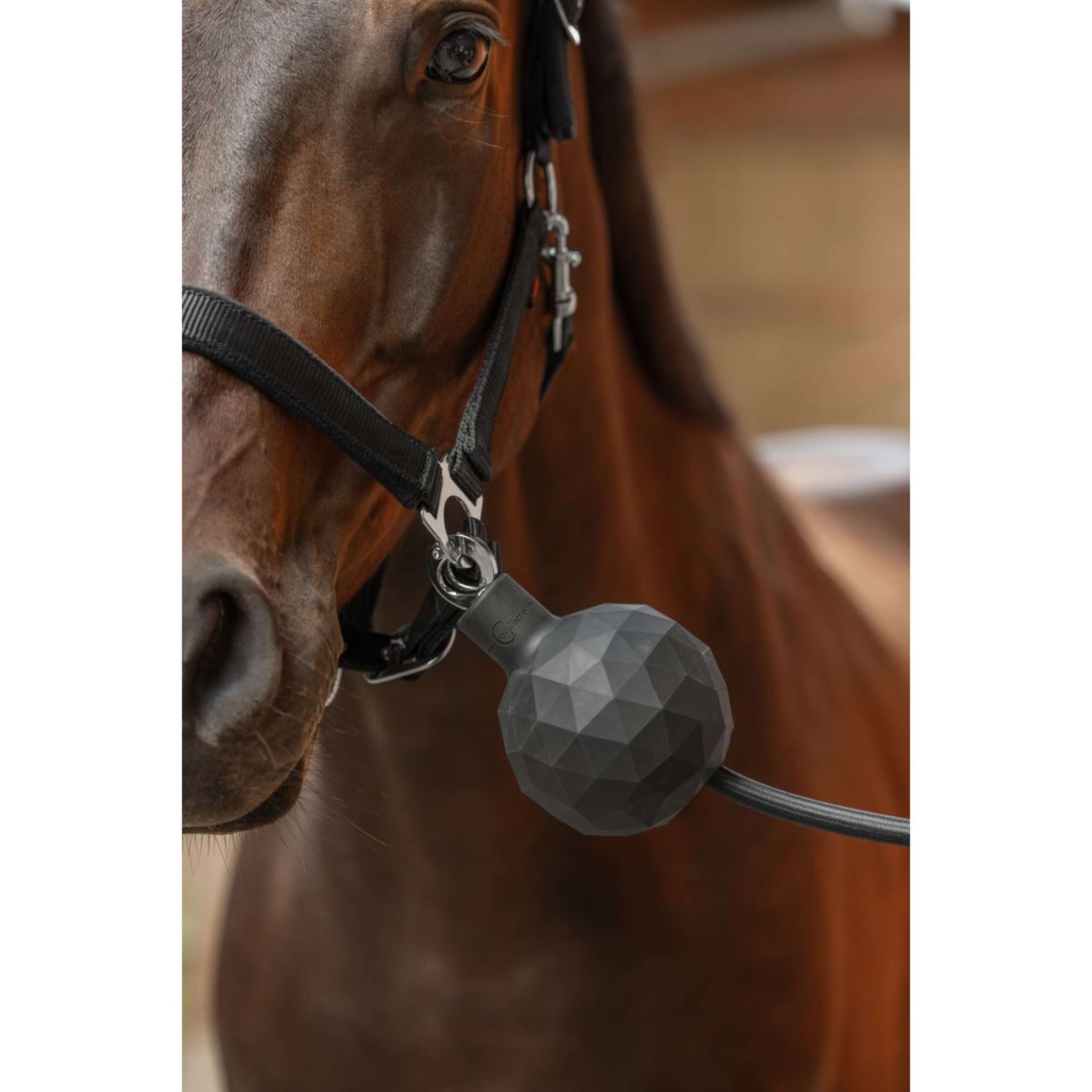 Covalliero Balle de Protection Caoutchouc Gris Covalliero Balle de Protection Caoutchouc Gris