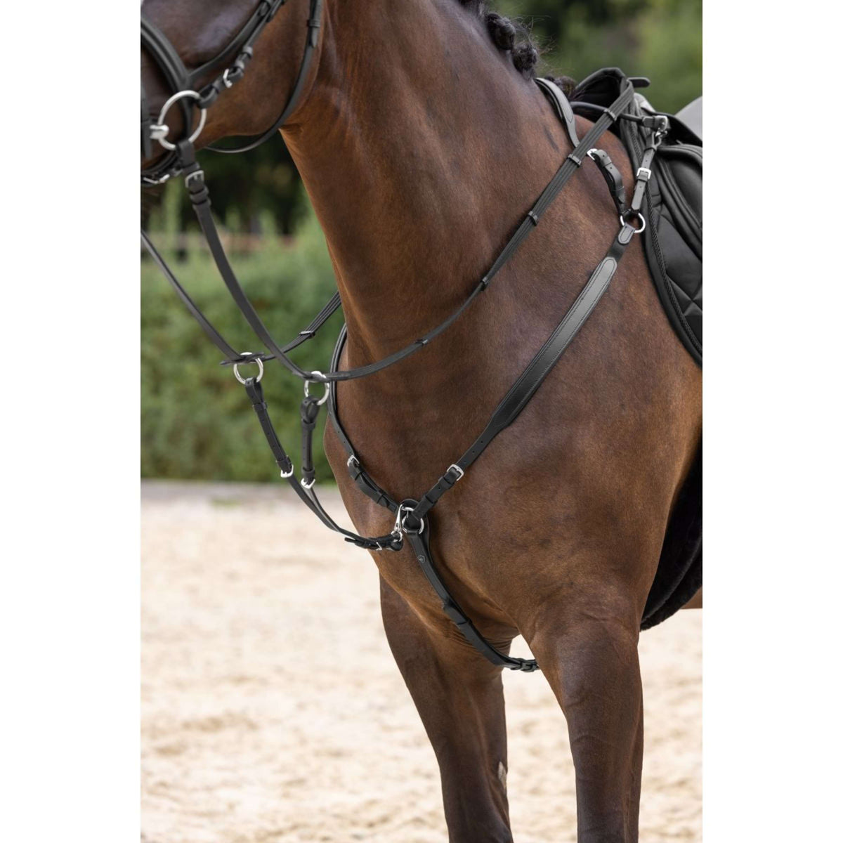 Covalliero Collier de Chasse avec Martingale Noir