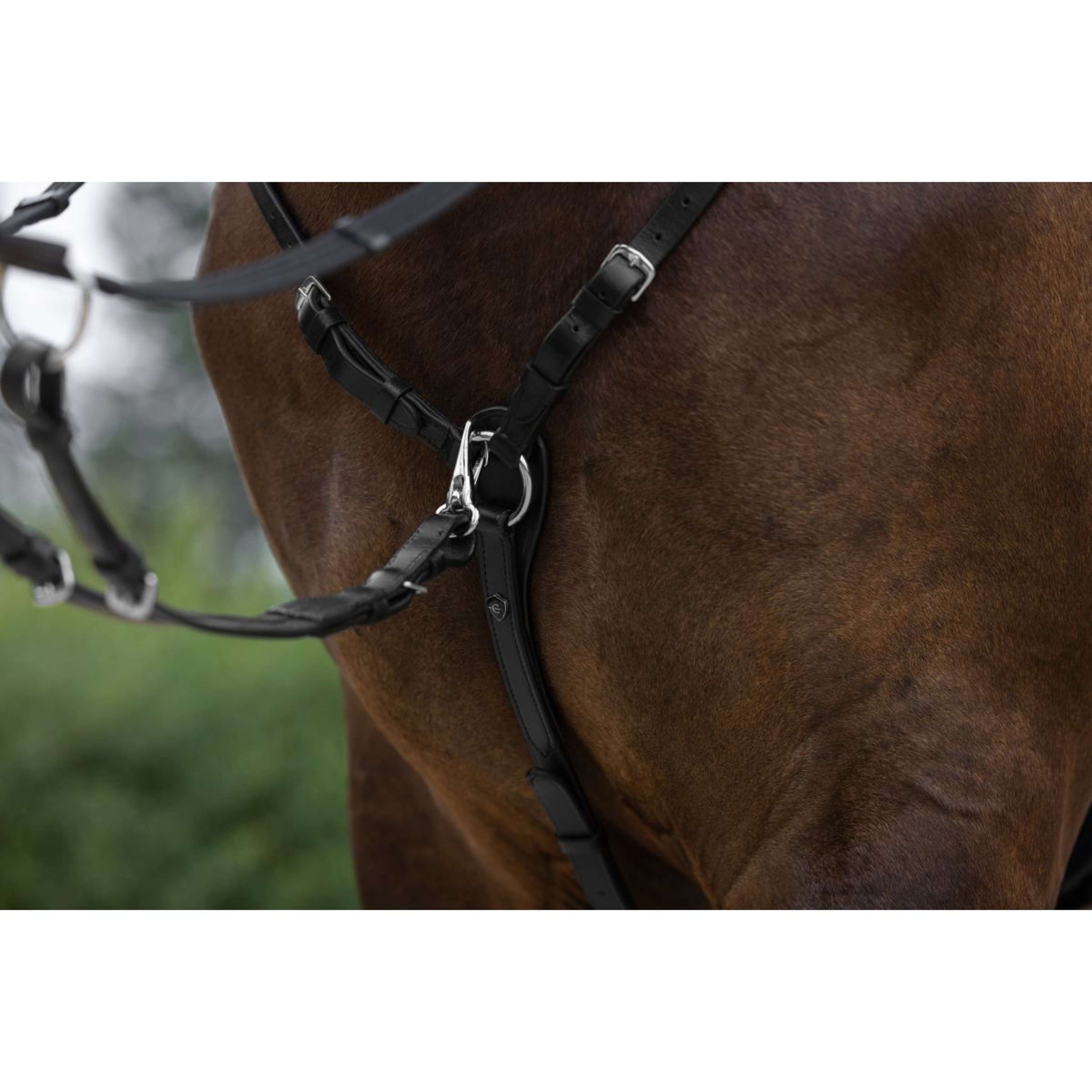 Covalliero Collier de Chasse avec Martingale Noir Covalliero Collier de Chasse avec Martingale Noir