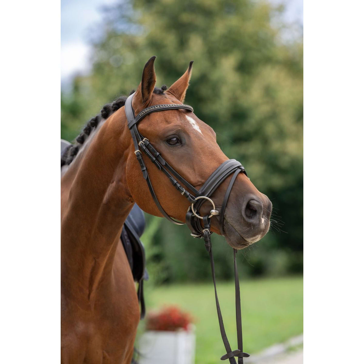 Covalliero Bride Zweeds Noir