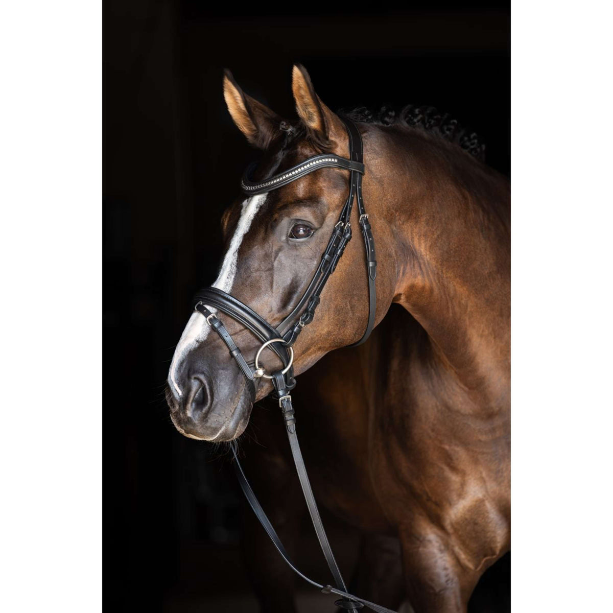 Covalliero Bride Clincher Noir