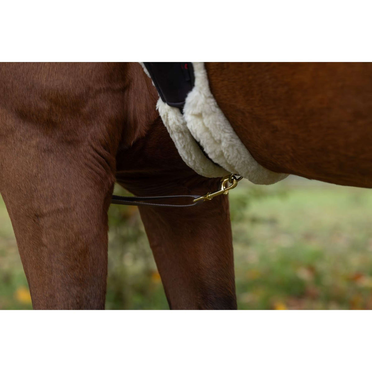 Covalliero Collier de Chasse Led Réflexion