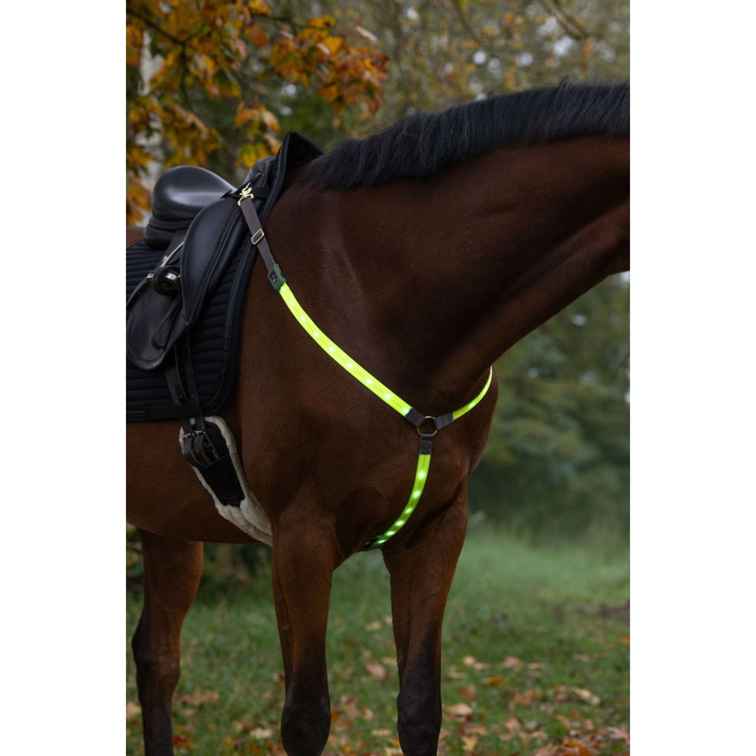 Covalliero Collier de Chasse Led Réflexion Covalliero Collier de Chasse Led Réflexion