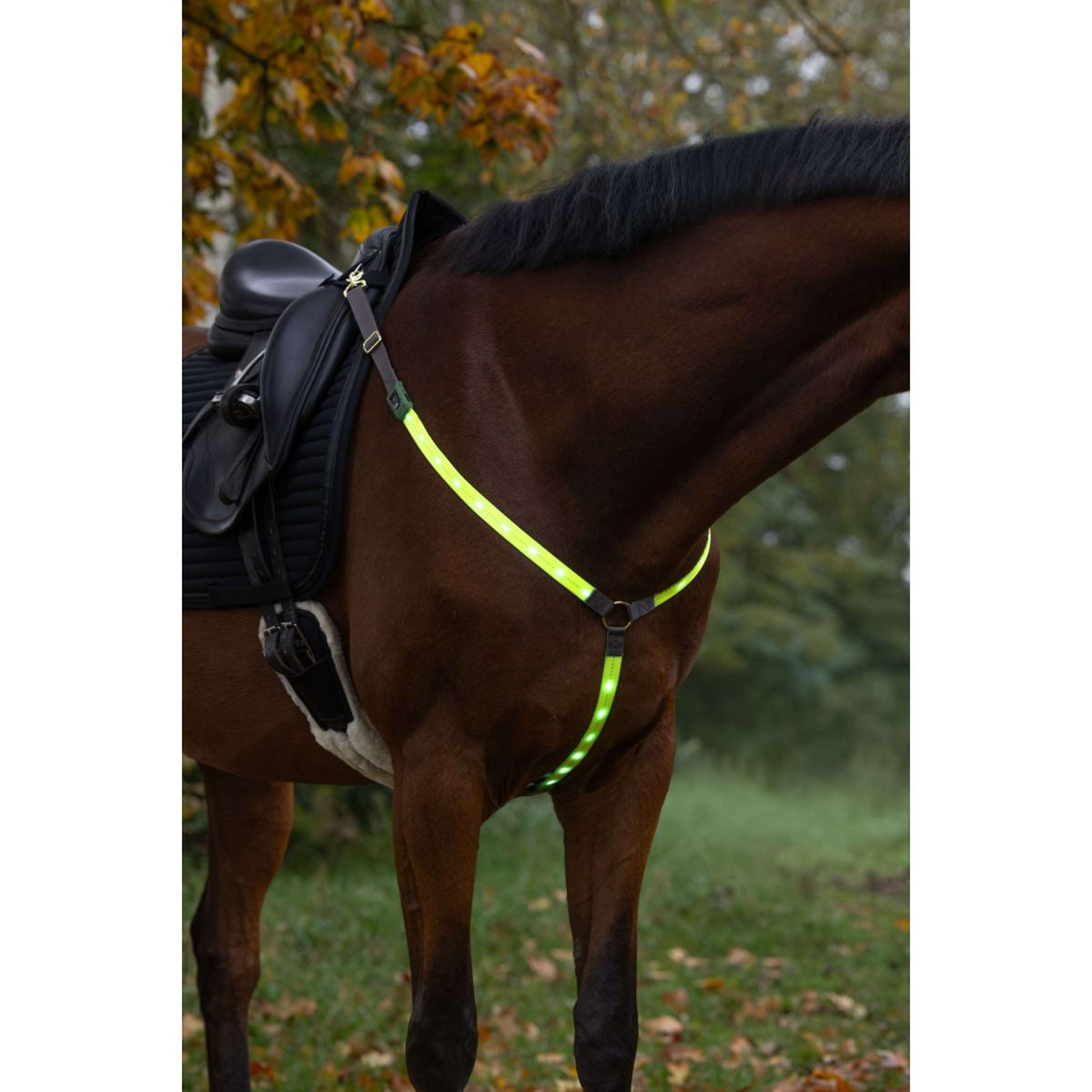 Covalliero Collier de Chasse Led Réflexion