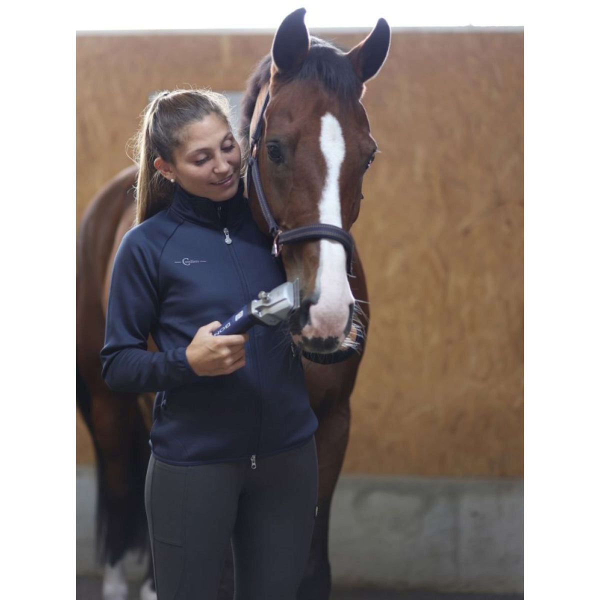 Aesculap Batterie Tondeuse Bonum Pro Cheval Bleu