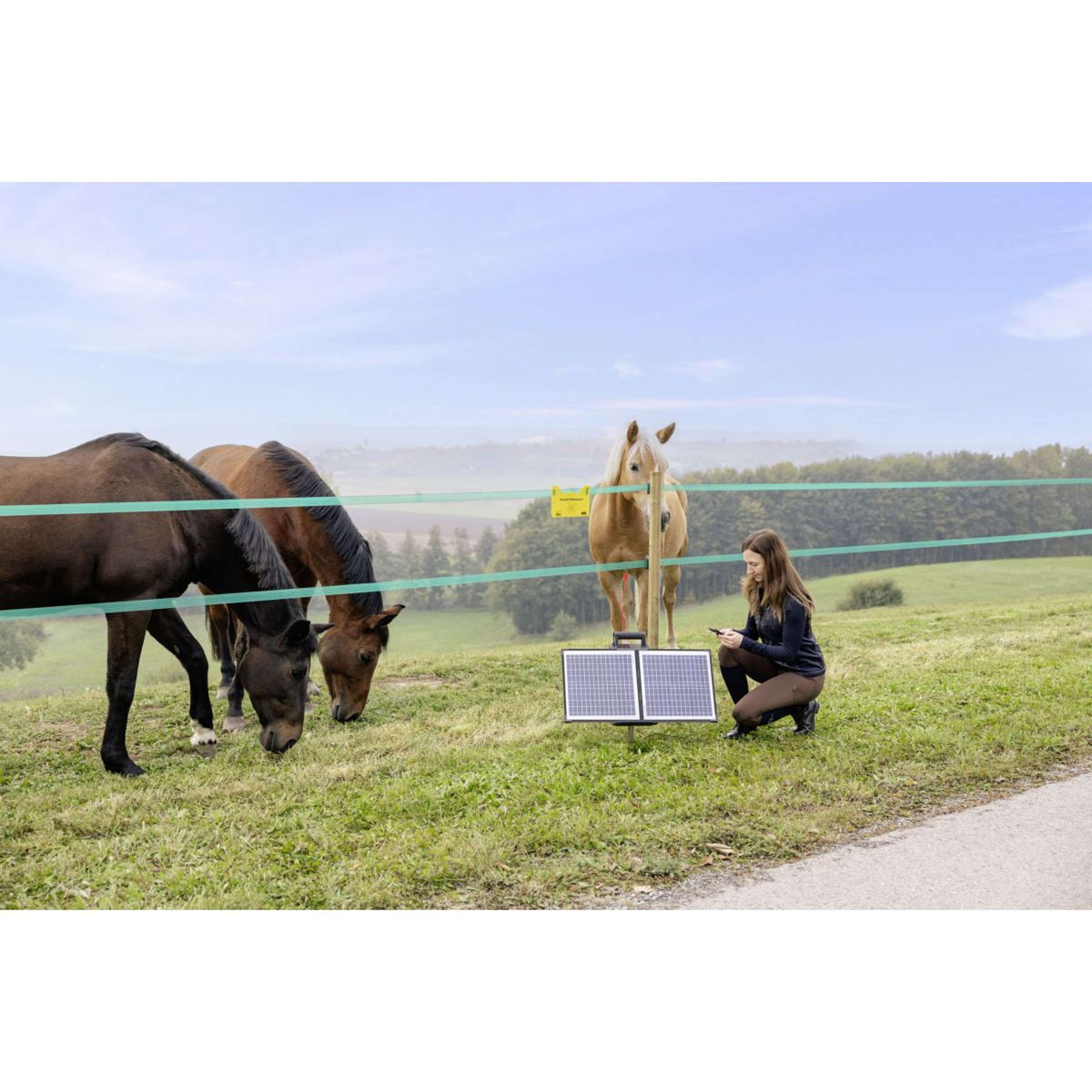 Ako Électrificateur S4000 Smart