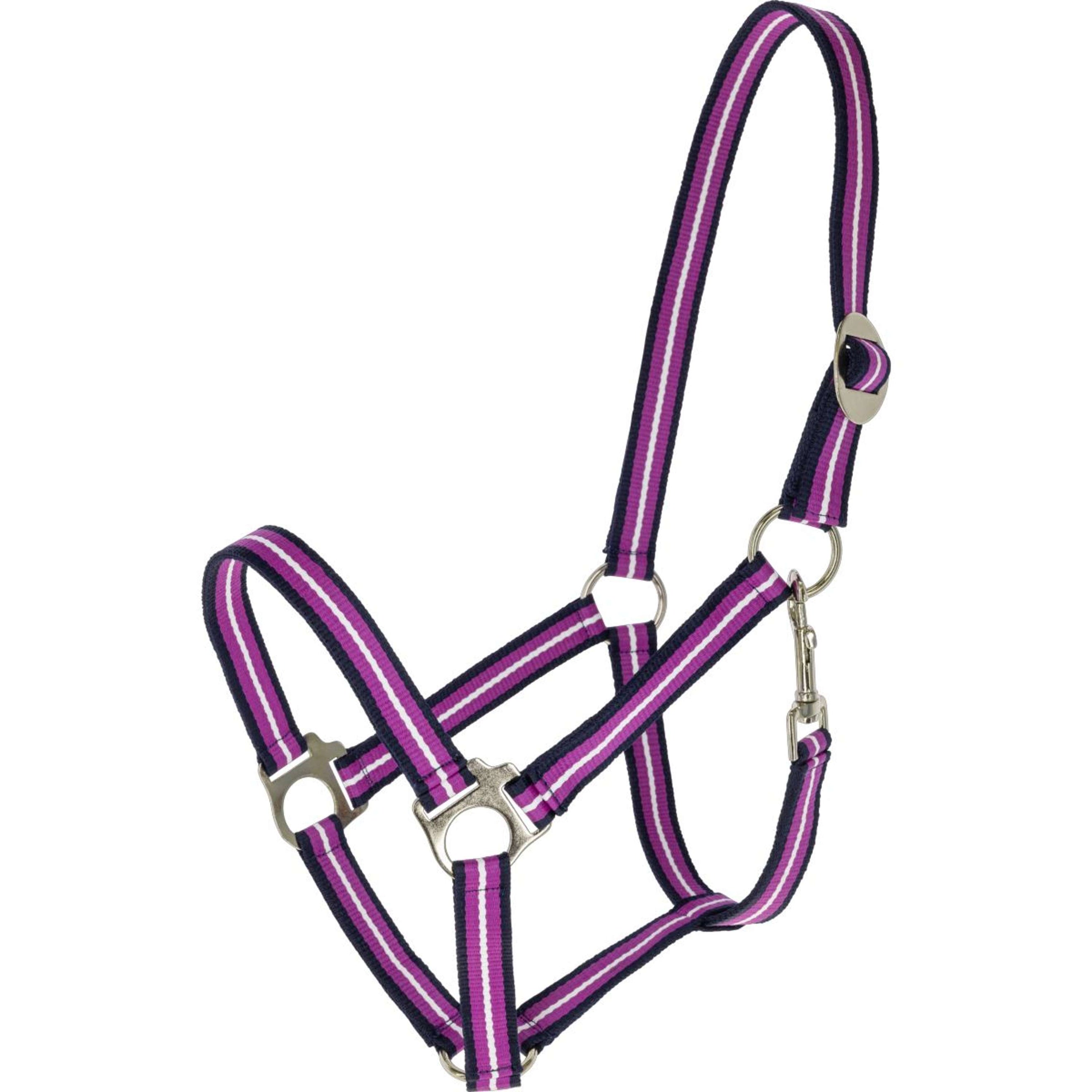 Covalliero Licol SS26 Dark Navy/Light Berry