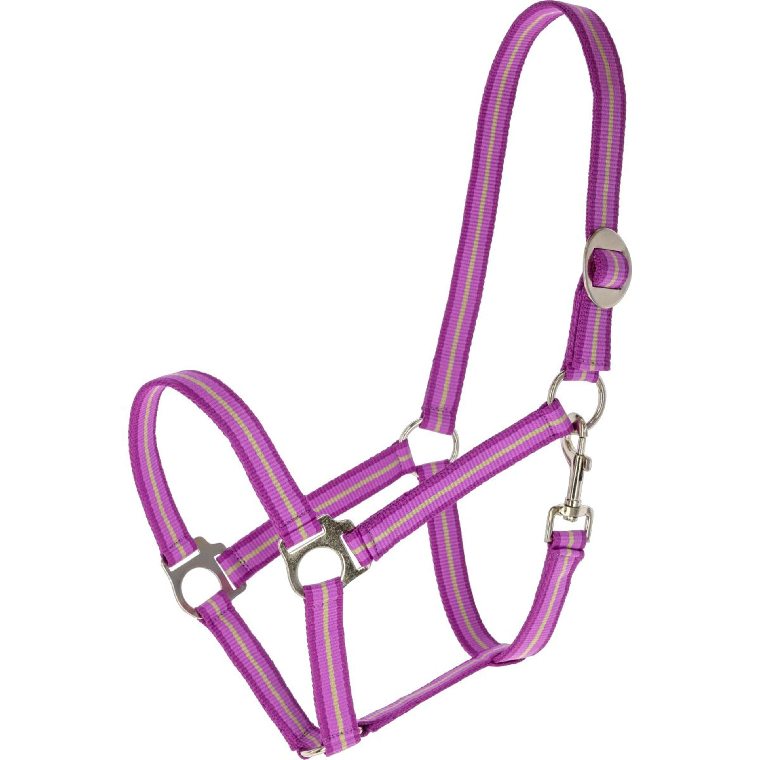 Covalliero Licol SS26 Light Berry/Noix