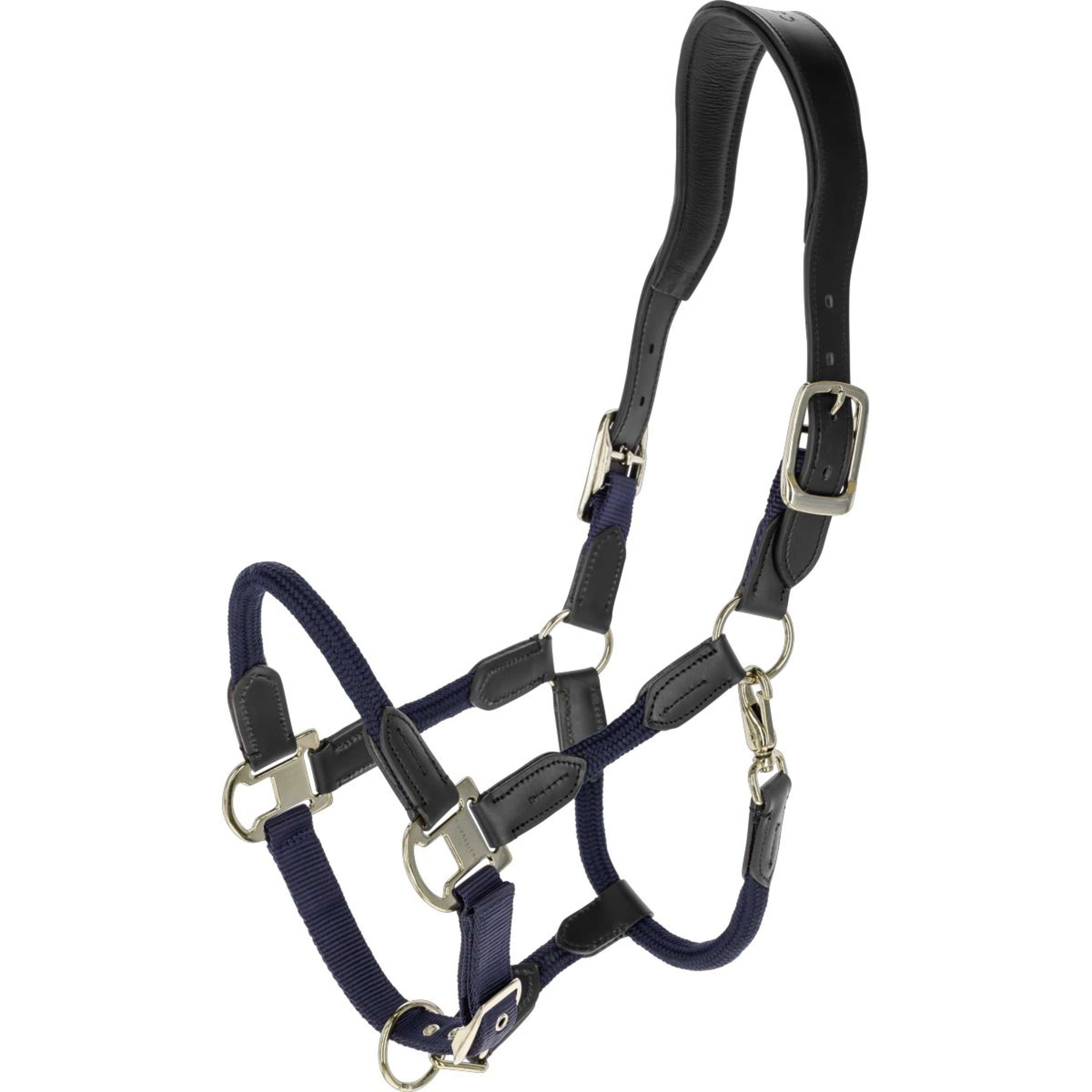 Covalliero Licol SS26 Foncé Marine