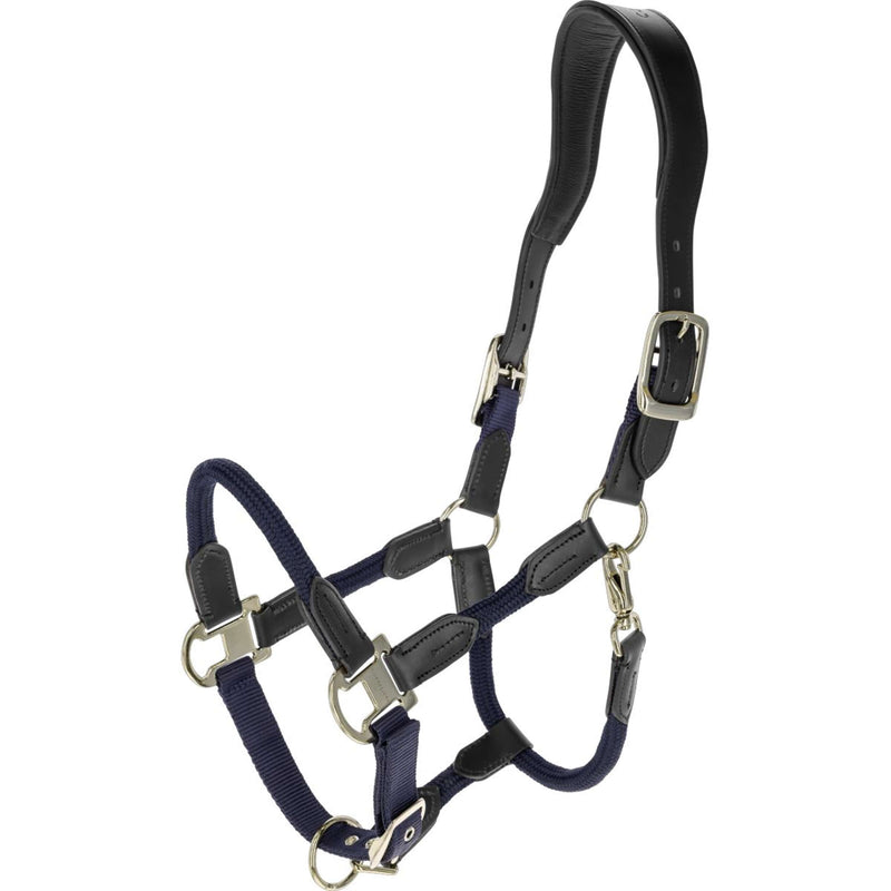 Covalliero Licol SS26 Foncé Marine