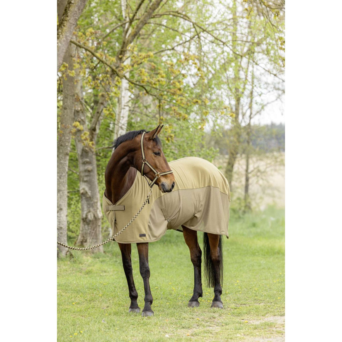 Covalliero Couvertures Anti-Transpiration SS26 Noix