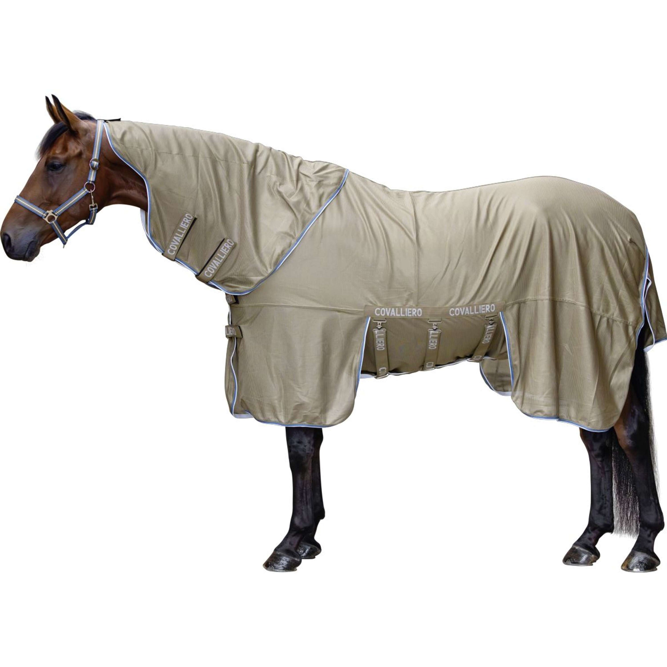 Covalliero Couverture Anti-Mouches SS26 Noix