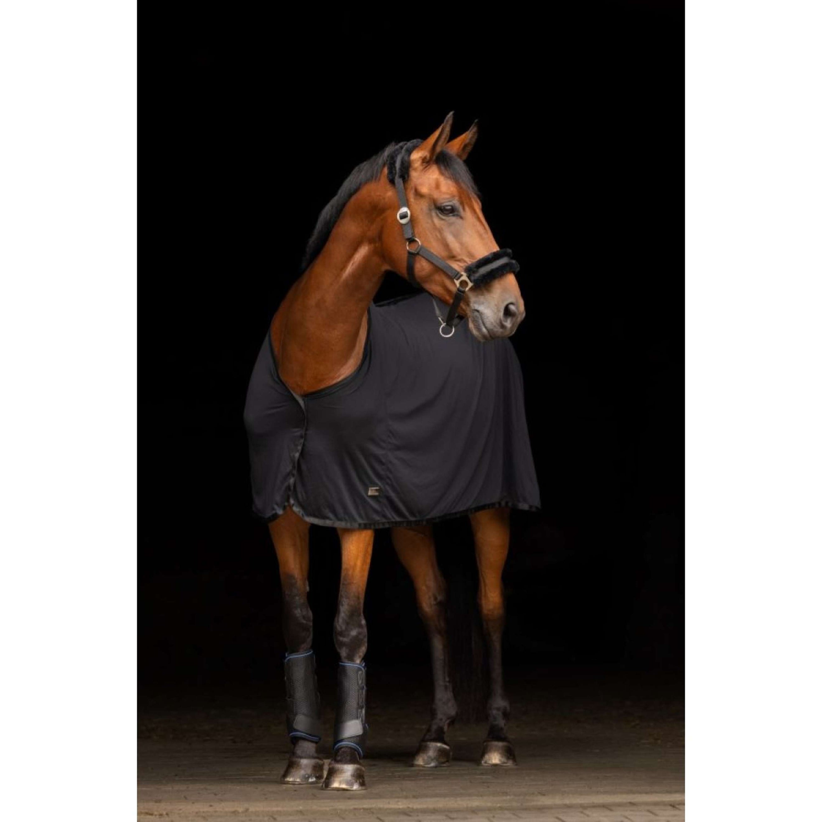 Covalliero Chemise Rafraîchissante Cooling Noir