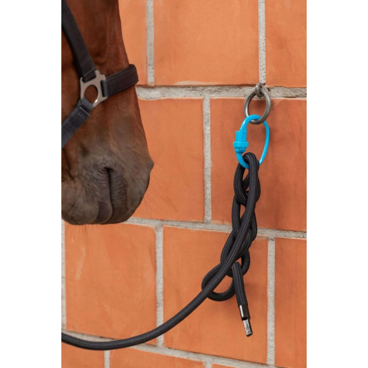 Kerbl Anneau de sécurité Safety Tie-Down Rouge/Noir/Bleu
