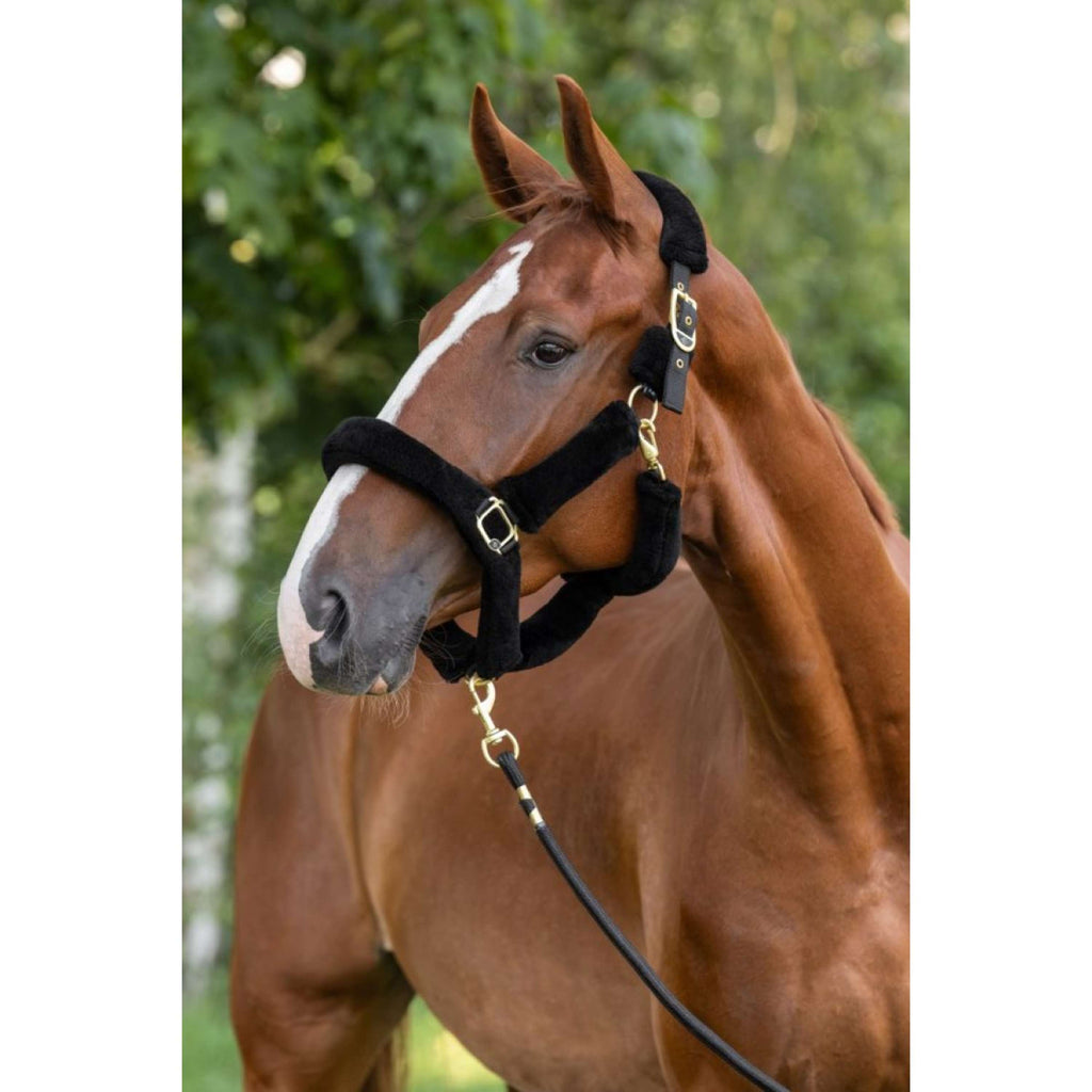 Covalliero Licol Supersoft 2.0 Noir
