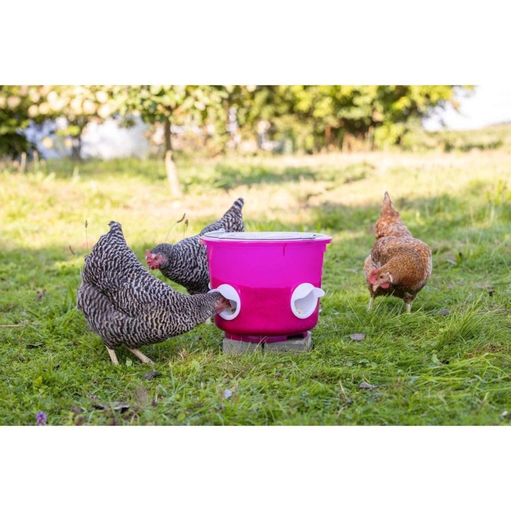Kerbl Seau à Nourriture Poulets Rose