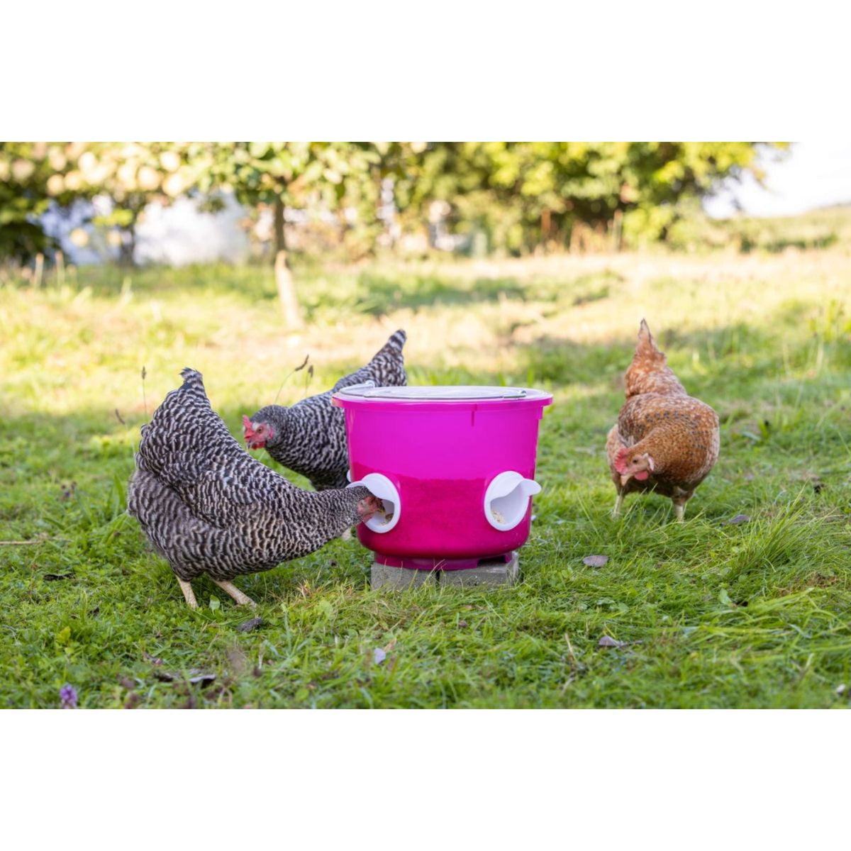 Kerbl Seau à Nourriture Poulets Rose