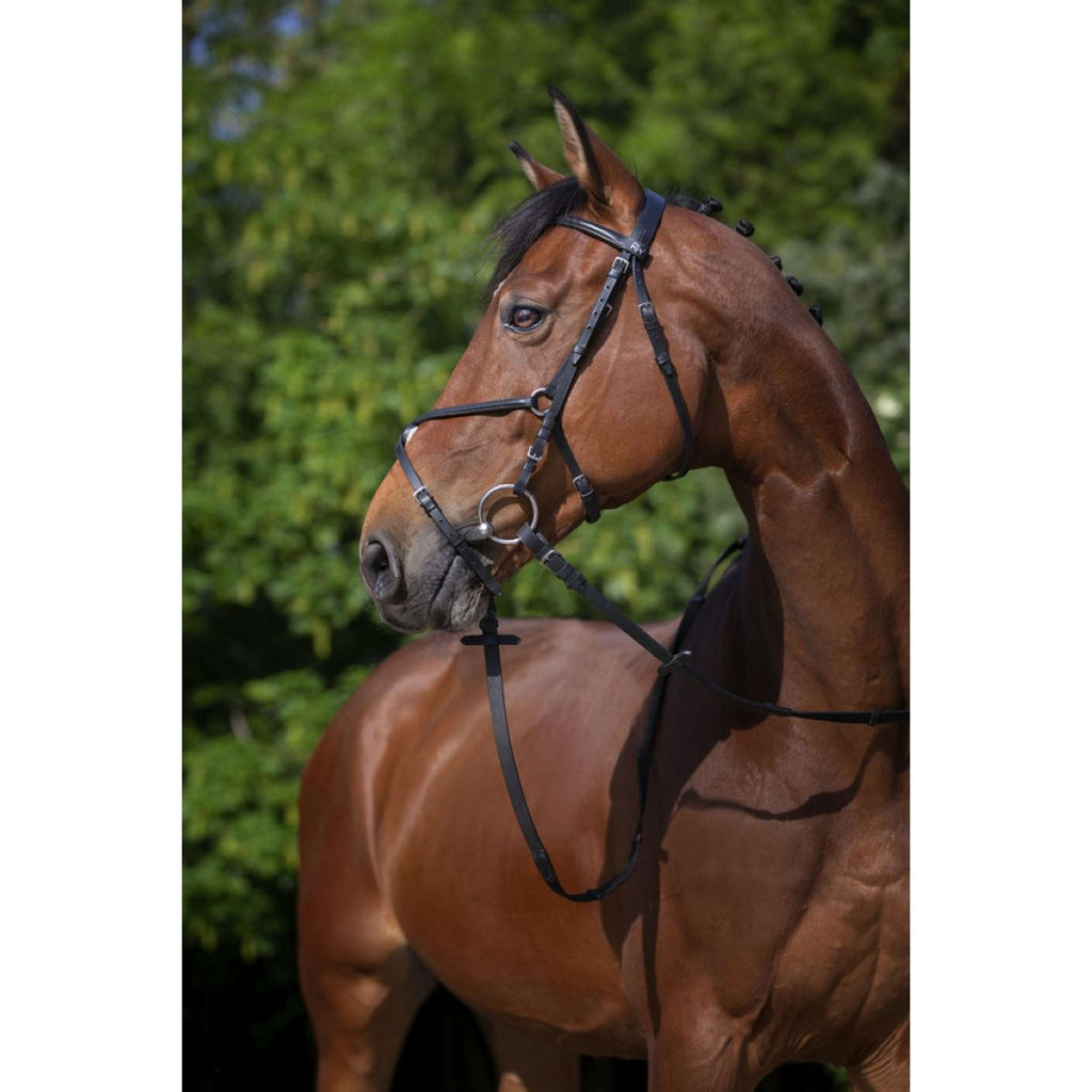 Riding World Bride avec Muserolle Mexicaine Noir