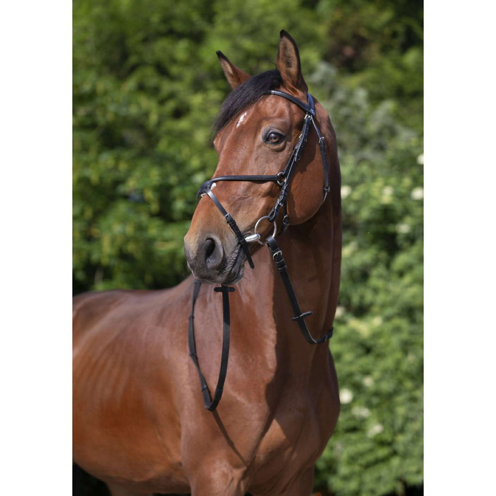 Riding World Bride avec Muserolle Mexicaine Noir