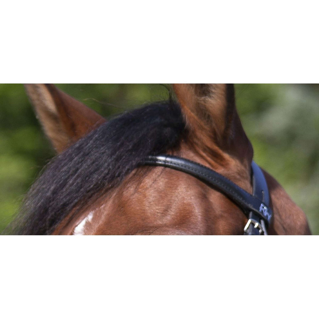 Riding World Bride avec Muserolle Mexicaine Noir