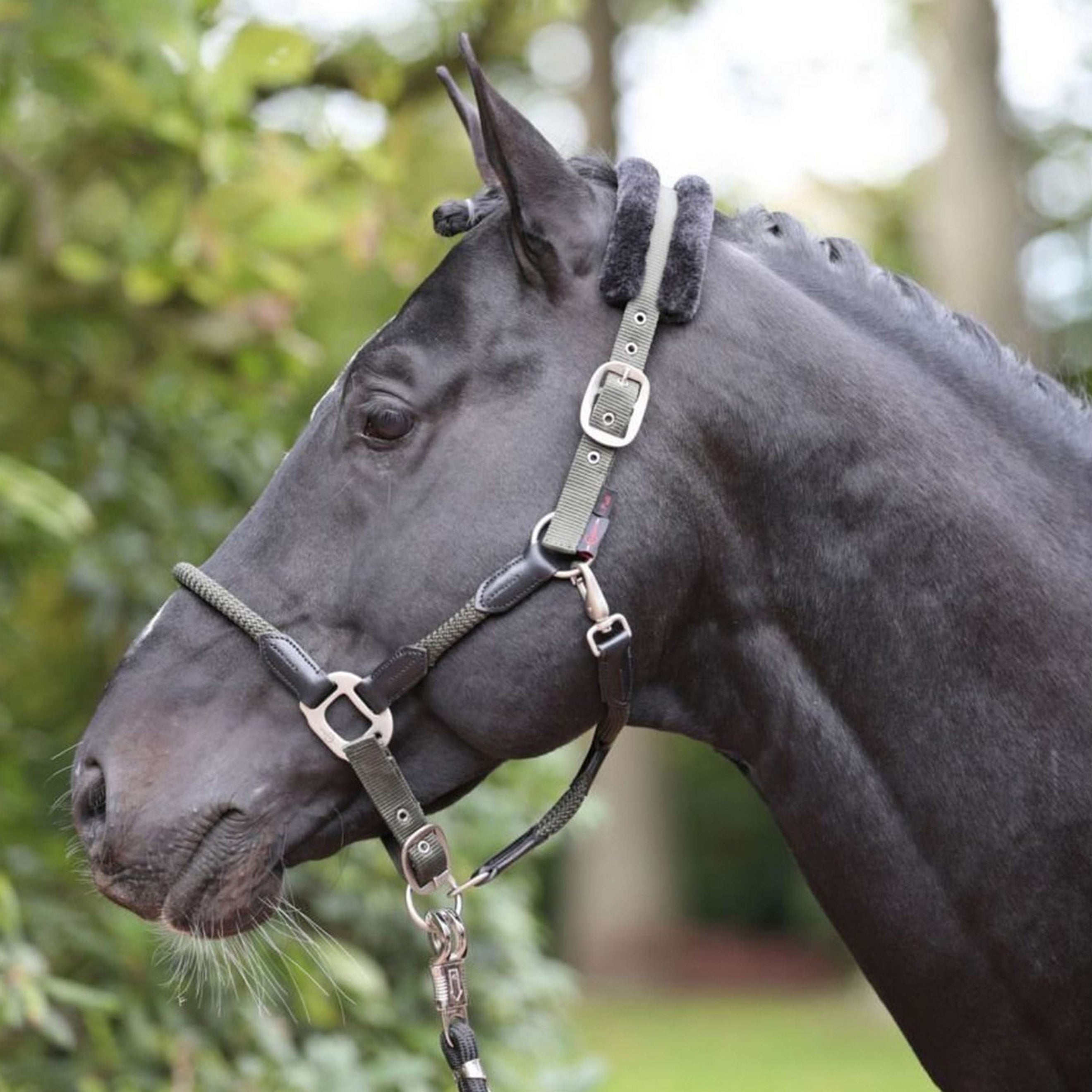 Kerbl Licol Cordano Olive Kerbl Licol Cordano Olive