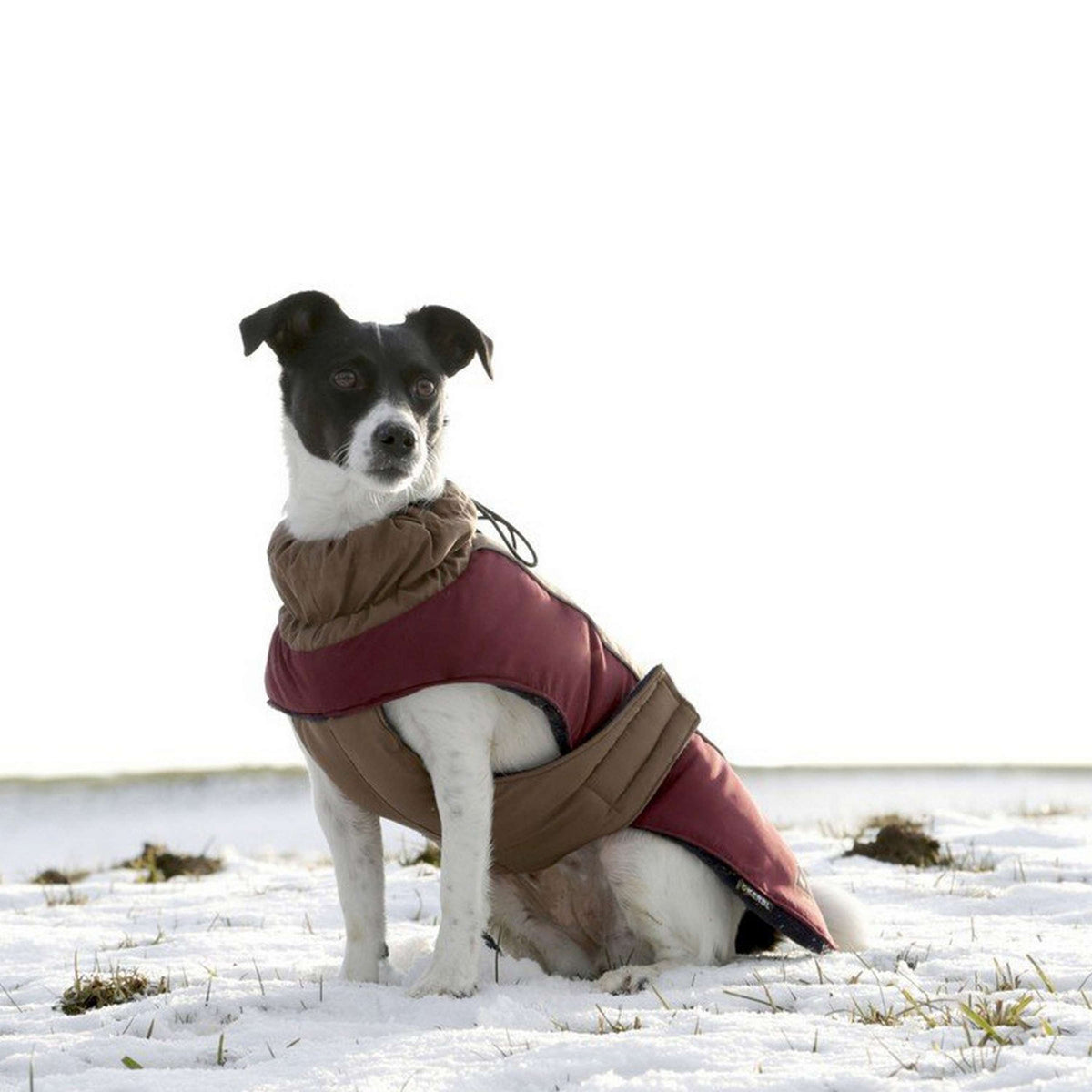 Kerbl Veste pour Chien Royal Pets Marron/rouge