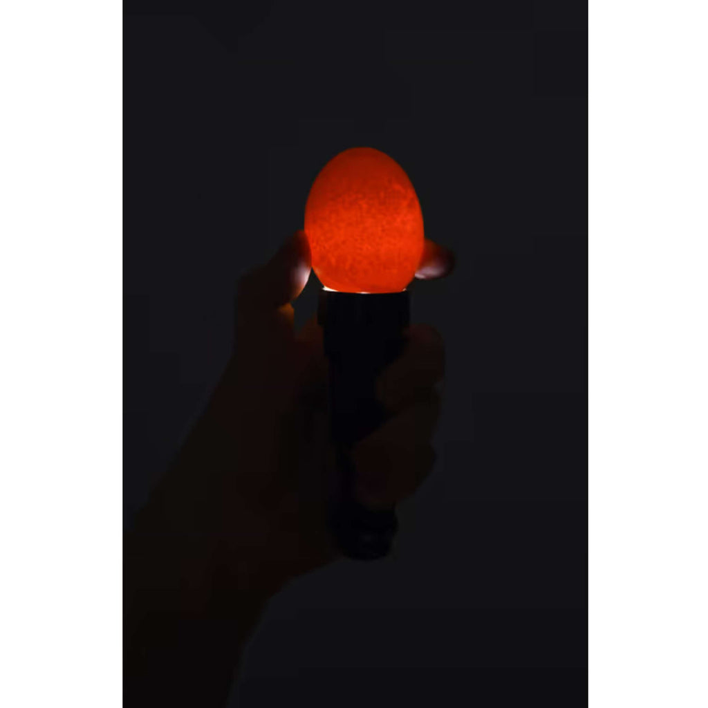 Kerbl Lampe LED mire-œuf Noir