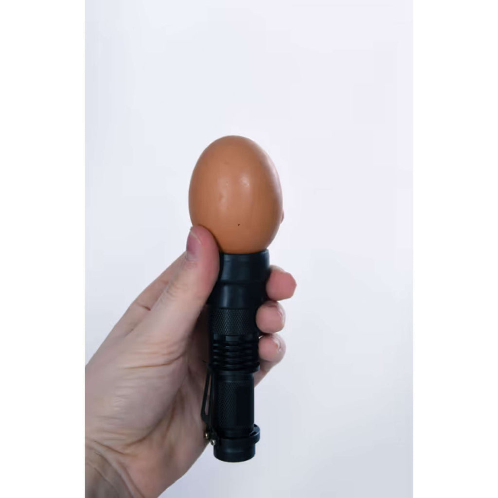 Kerbl Lampe LED mire-œuf Noir