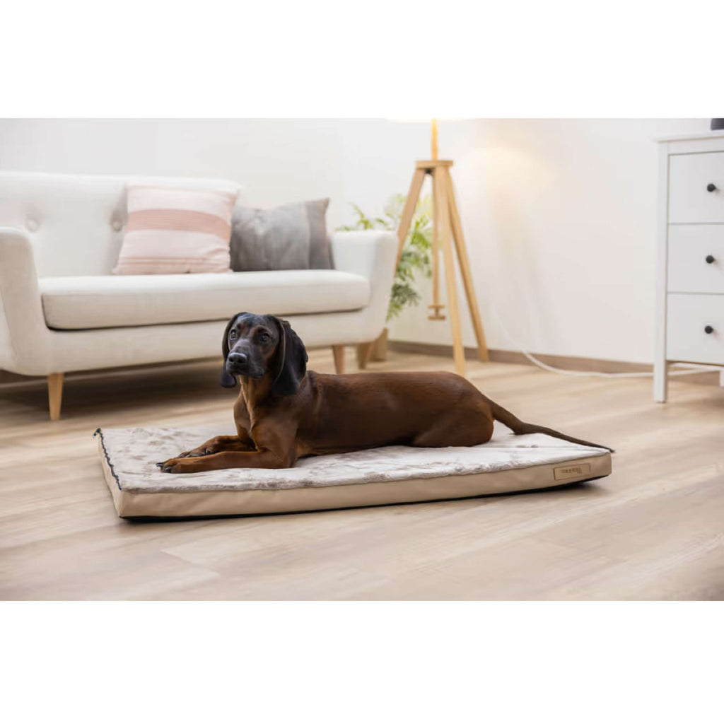 Kerbl Matelas pour Chien 2 en 1 Maaron/beige