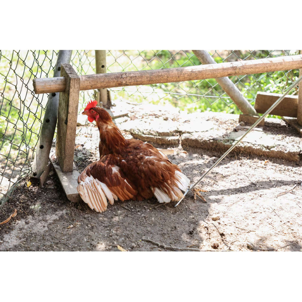 Kerbl Crochet pour Poulets Métal