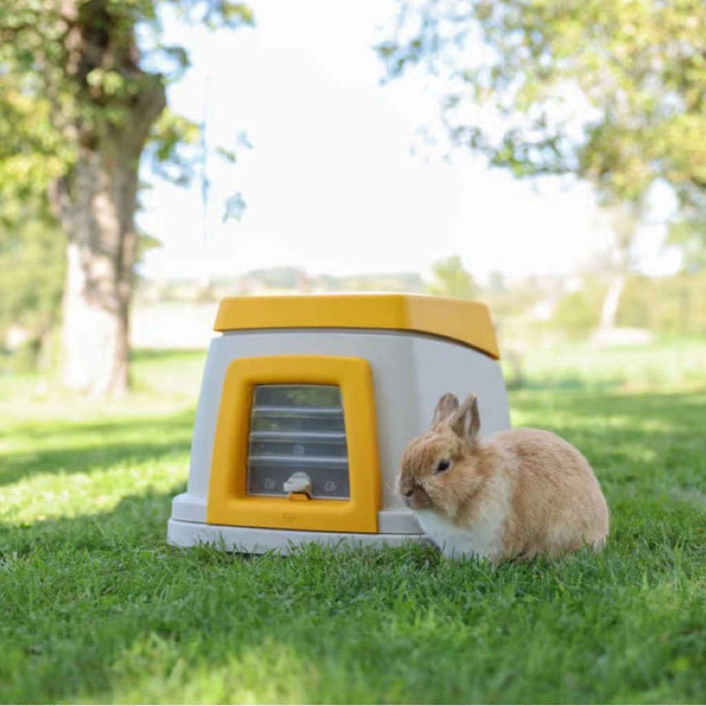 Kerbl Abri à Lapin Plastique Gris/Orange