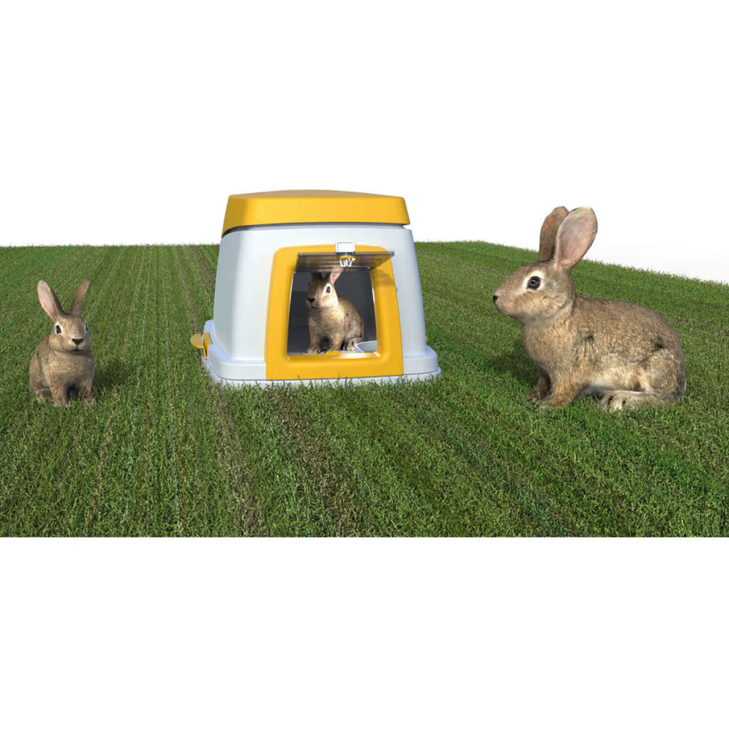 Kerbl Abri à Lapin Plastique Gris/Orange