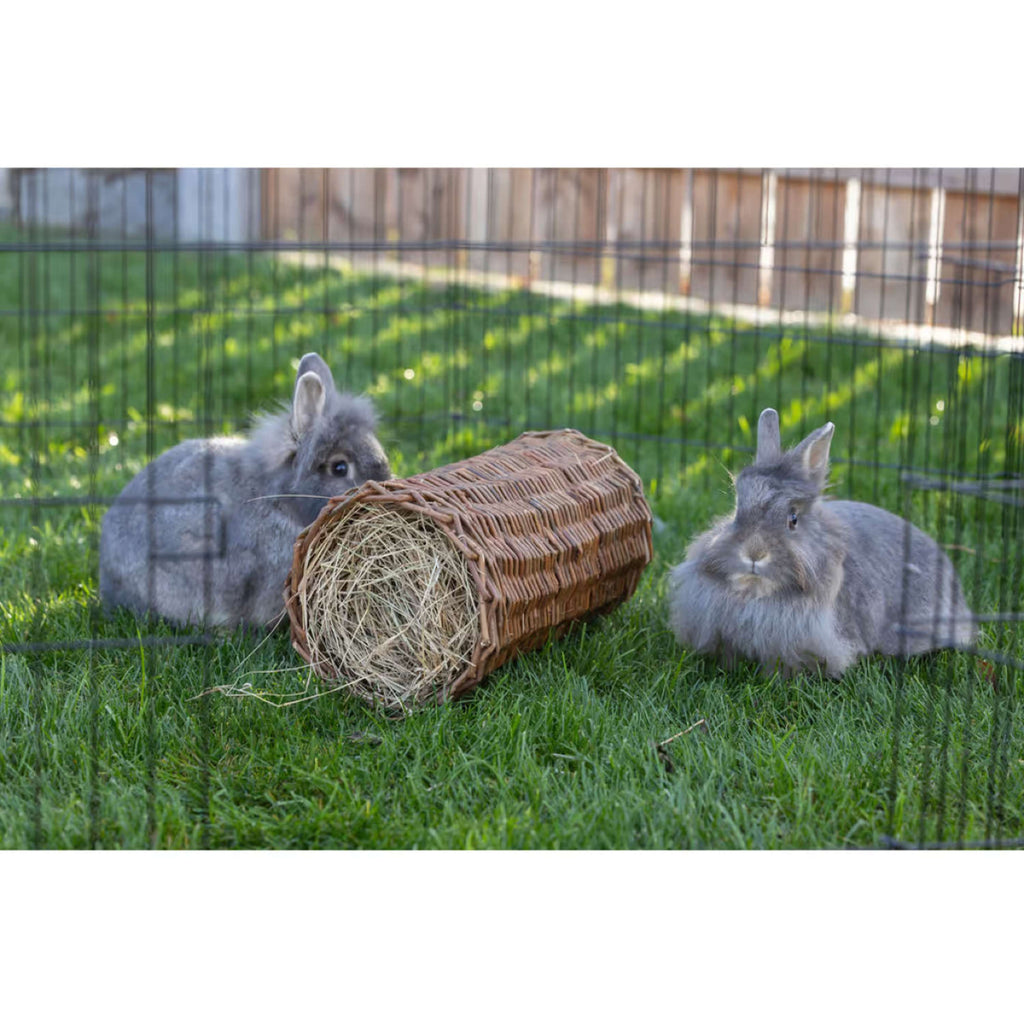 Kerbl Tunnel pour Lapin avec Foin Nature