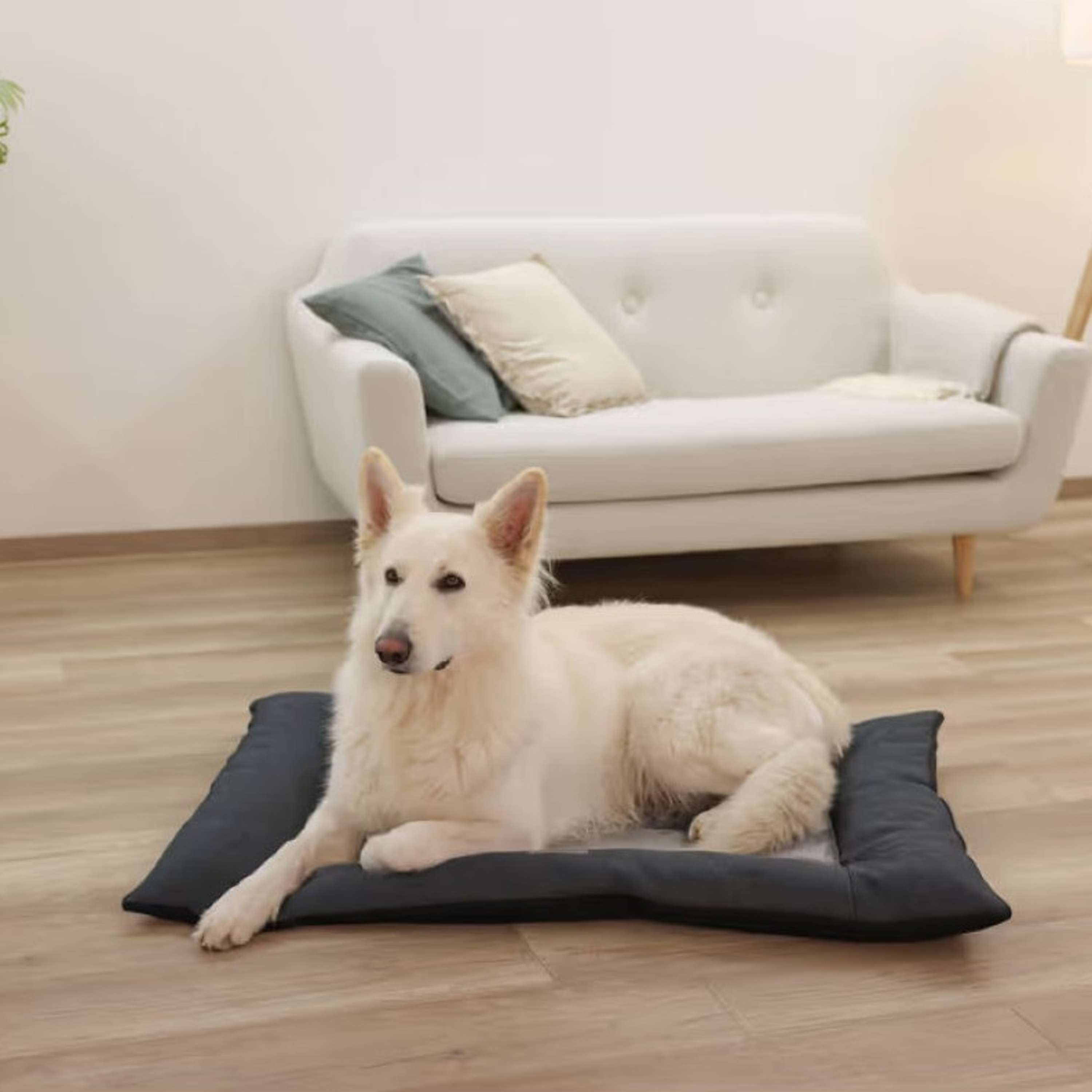 Kerbl Coussin pour Chien Orthopédique Gris