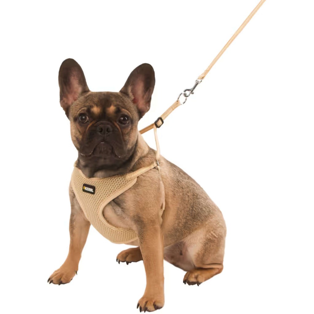 Kerbl Harnais pour Chiot avec Longe Beige