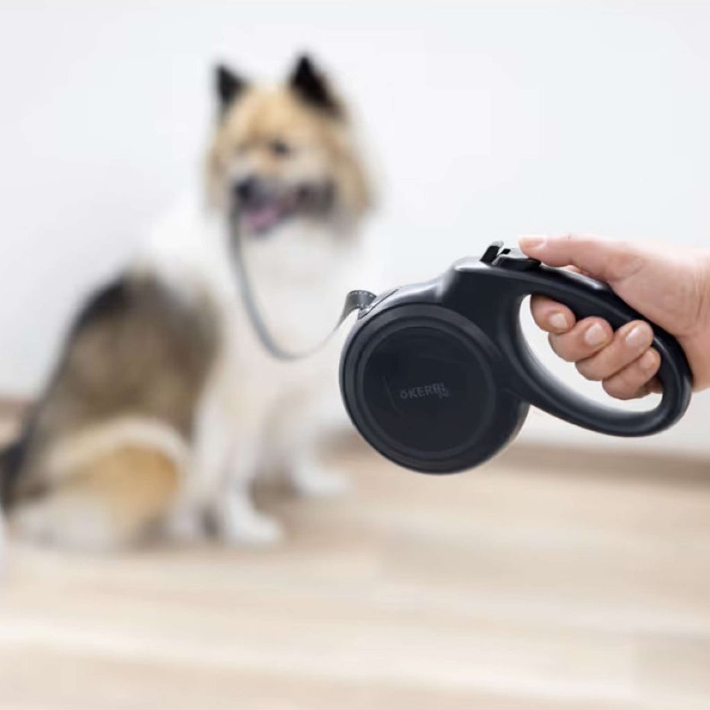 Kerbl Laisse Enrouleuse 5 Cm Noir