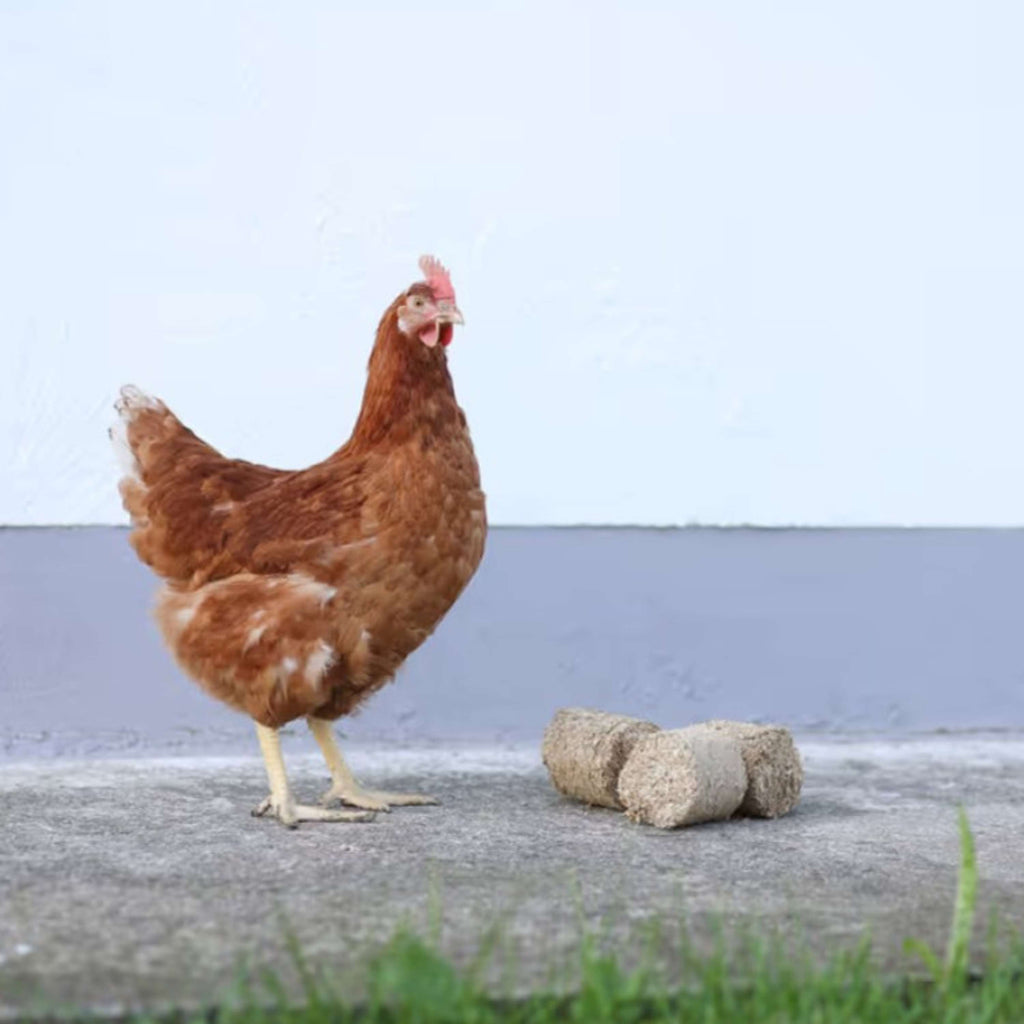Kerbl Blocs d'épeautre pour Poulets