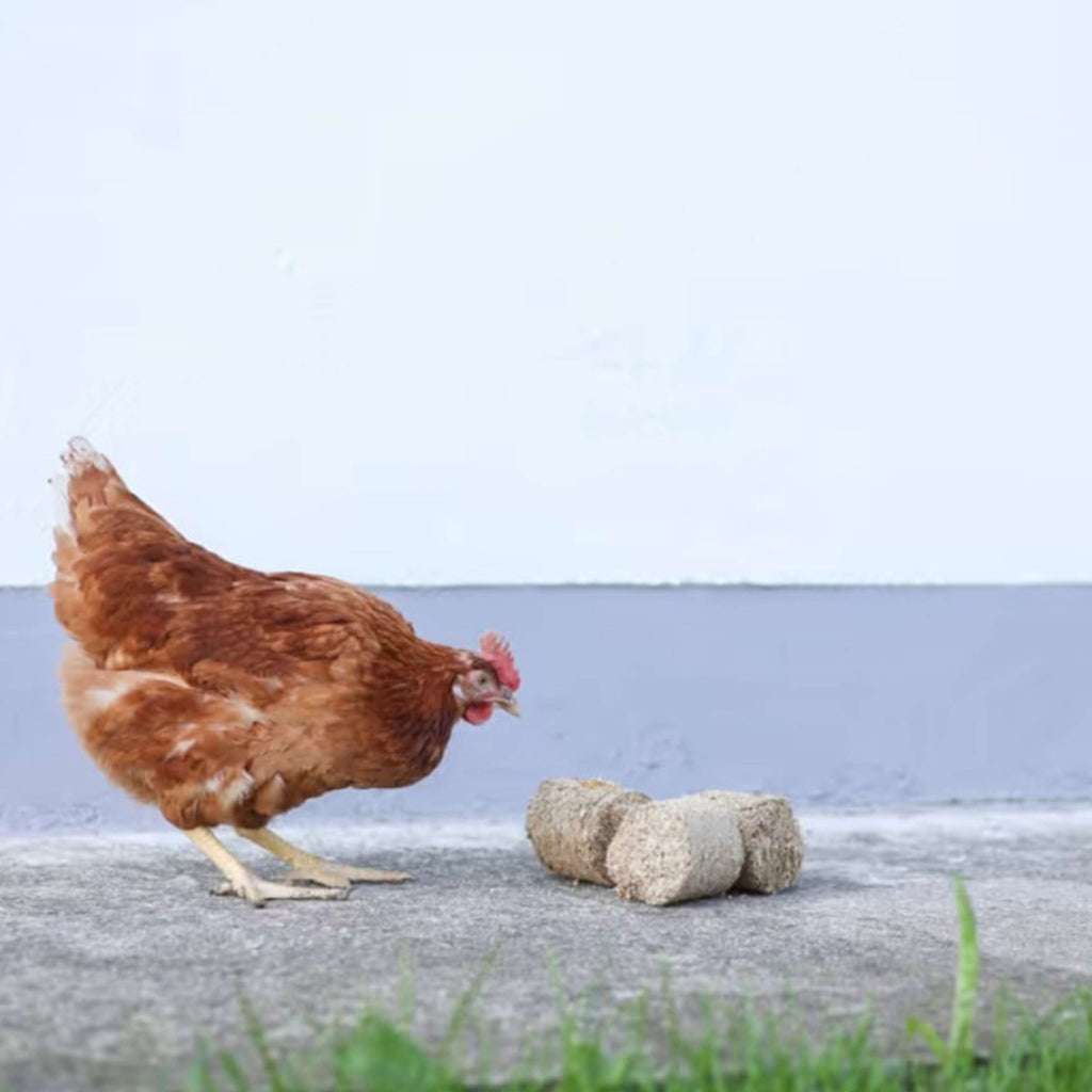 Kerbl Blocs d'épeautre pour Poulets