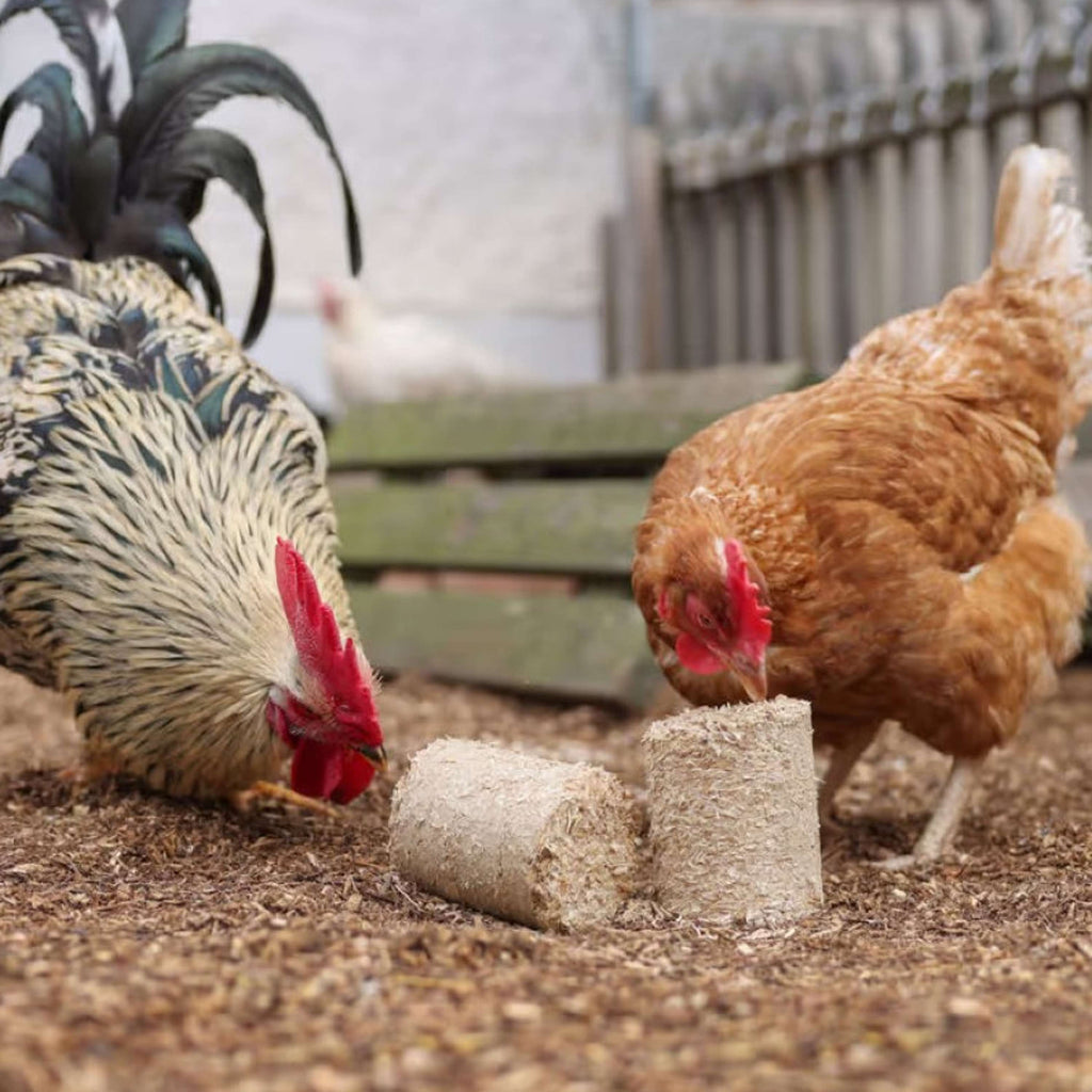 Kerbl Blocs d'épeautre pour Poulets