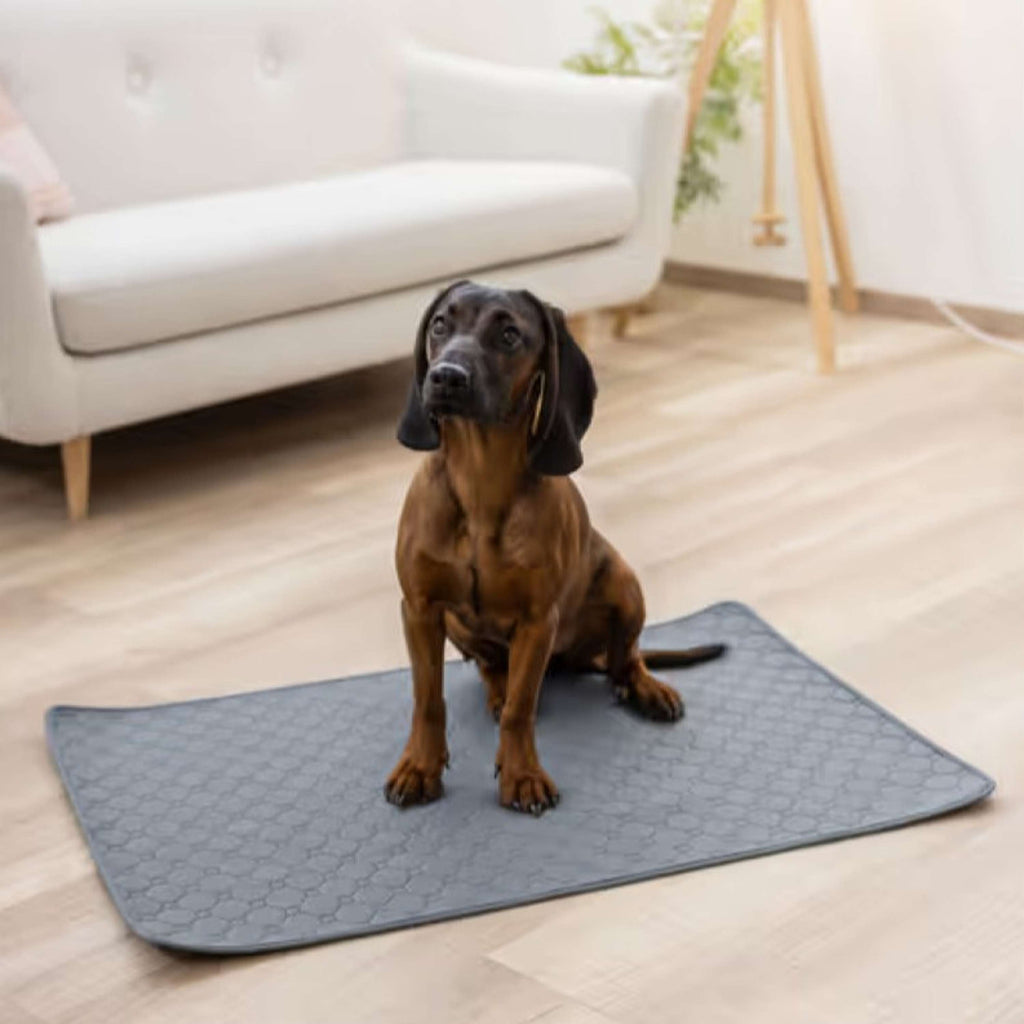 Kerbl Tampon Urine Lavable Gris