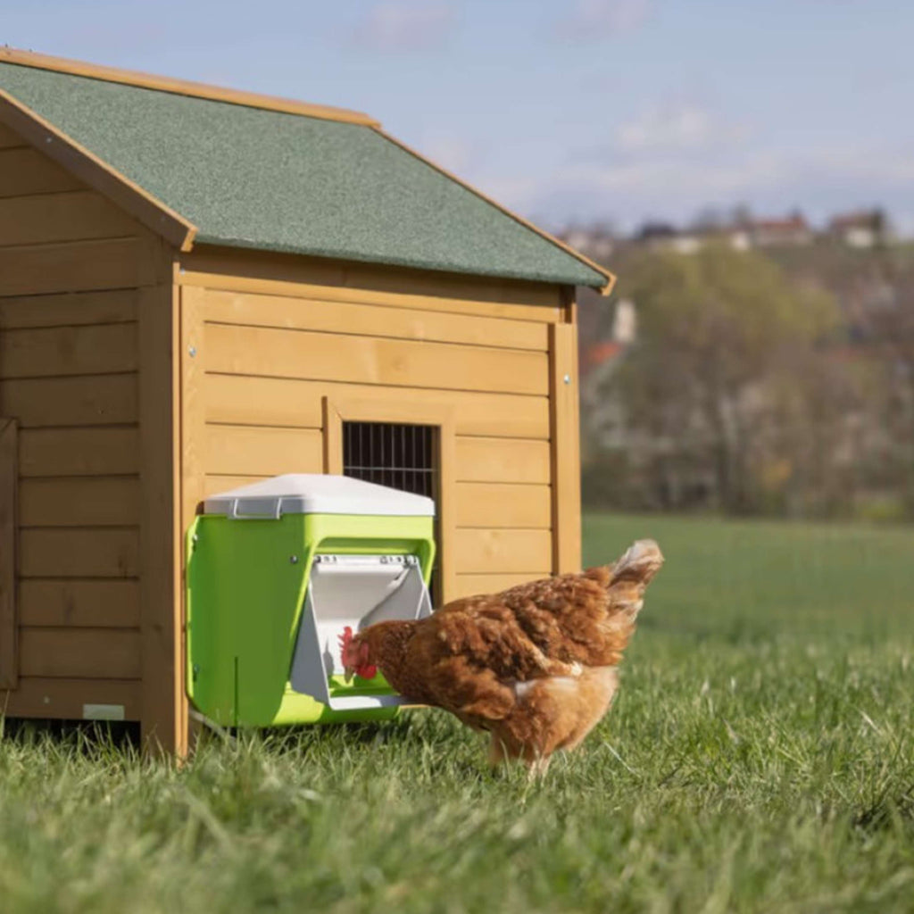 Kerbl Distributeur Automatique de Nourriture avec Clapet de Protection Vert