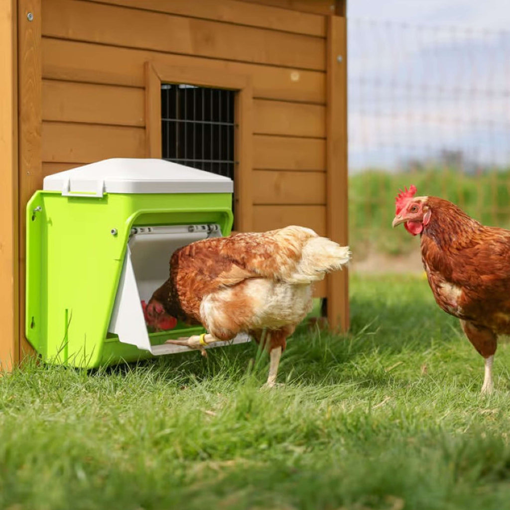 Kerbl Distributeur Automatique de Nourriture avec Clapet de Protection Vert