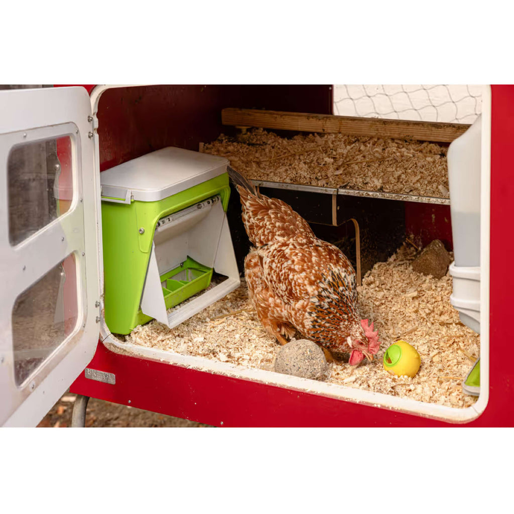 Kerbl Distributeur Automatique de Nourriture avec Clapet de Protection Vert