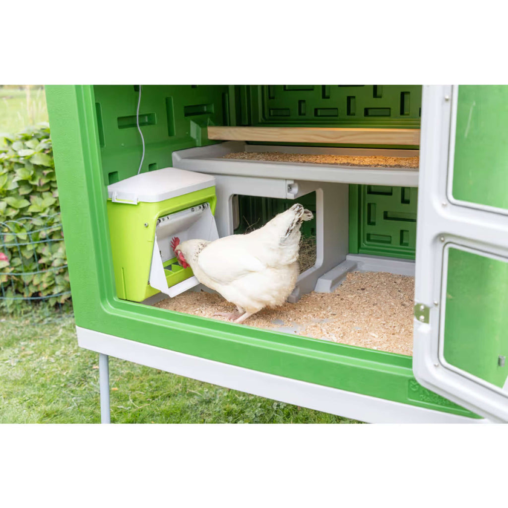Kerbl Distributeur Automatique de Nourriture avec Clapet de Protection Vert