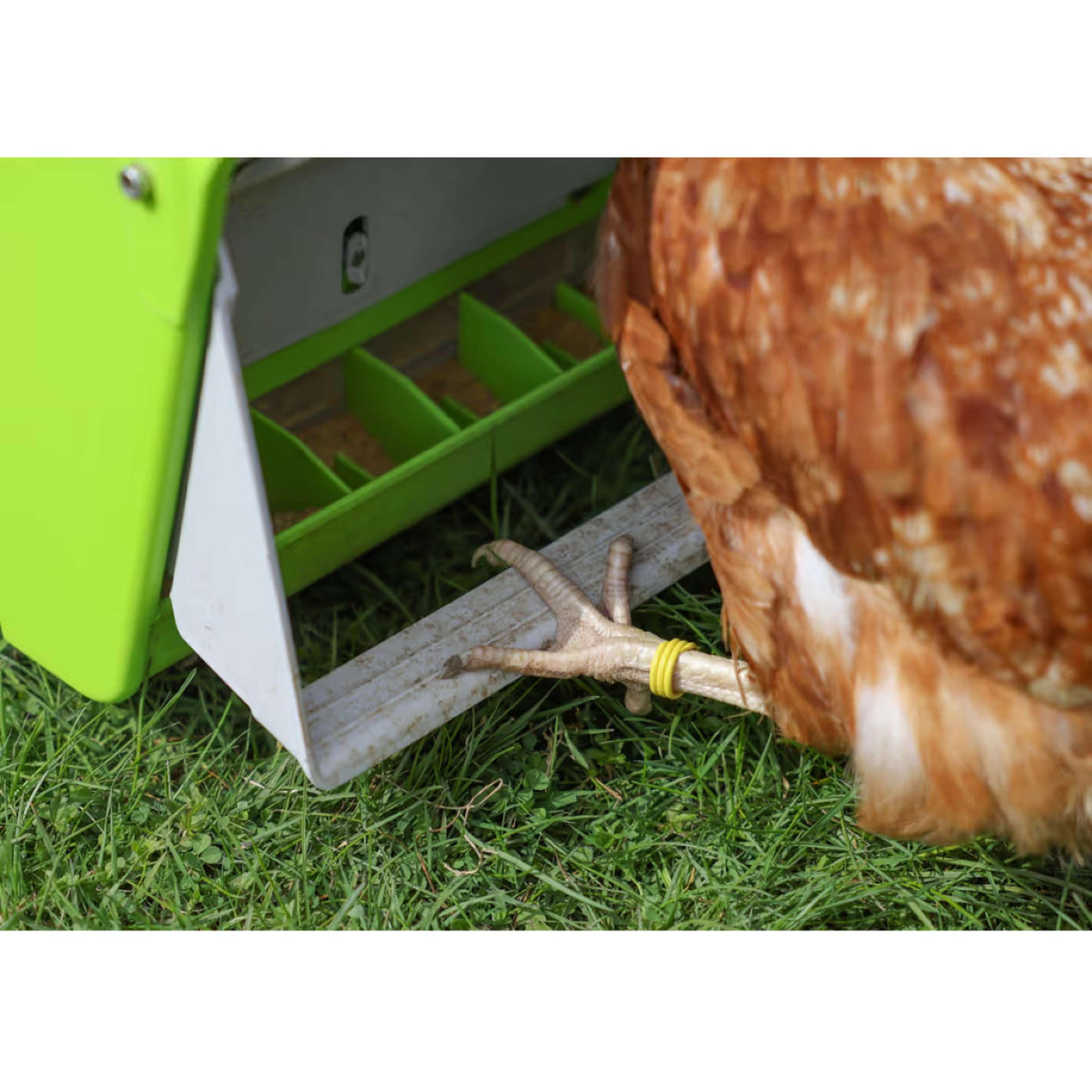 Kerbl Distributeur Automatique de Nourriture avec Clapet de Protection Vert